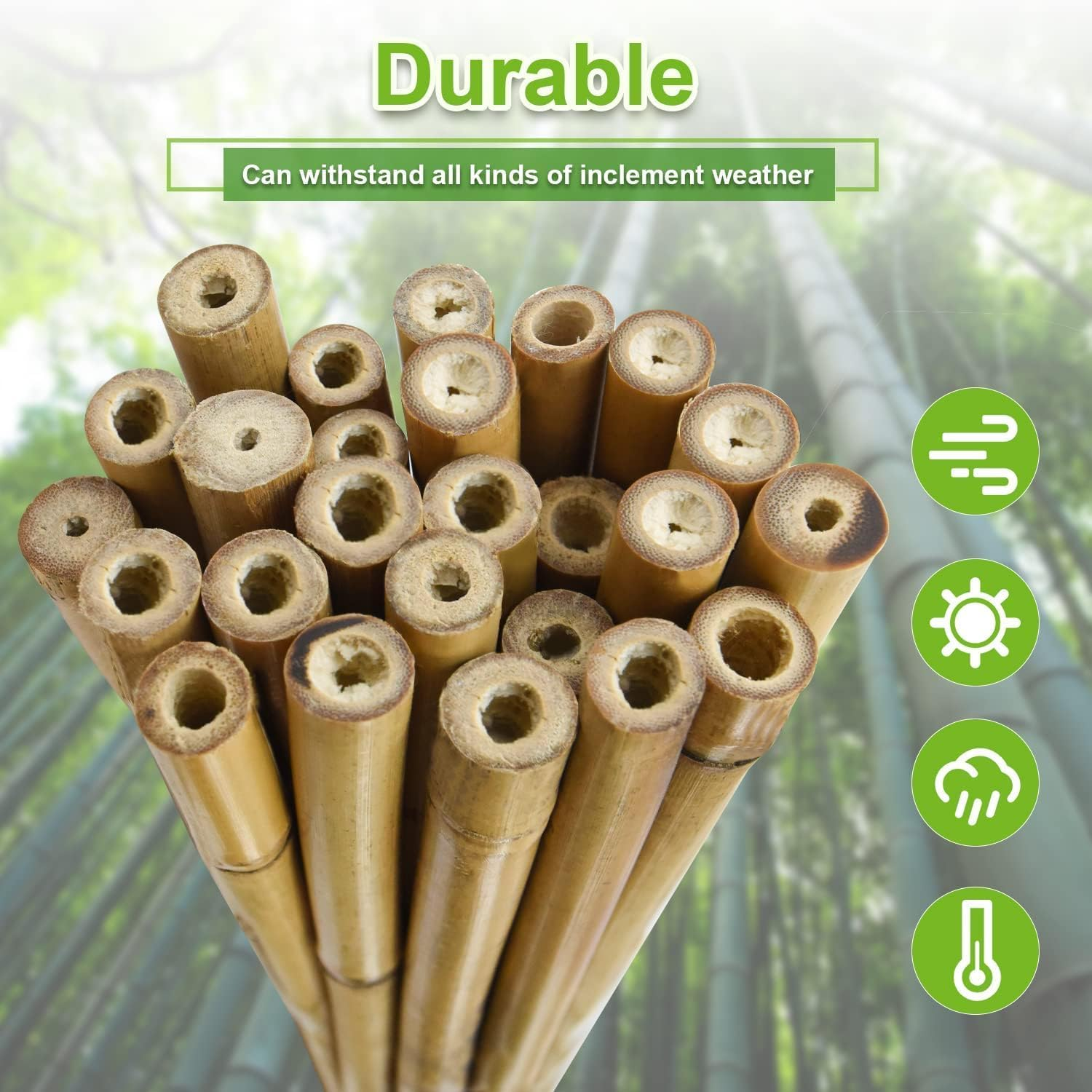 Jollybower 30Pcs Bamboo Stakes 60Cm,Plant Stake, Natural Garden Stakes for Tomato, Bean, Flowers,Trees Potted and Climbing Plant Support