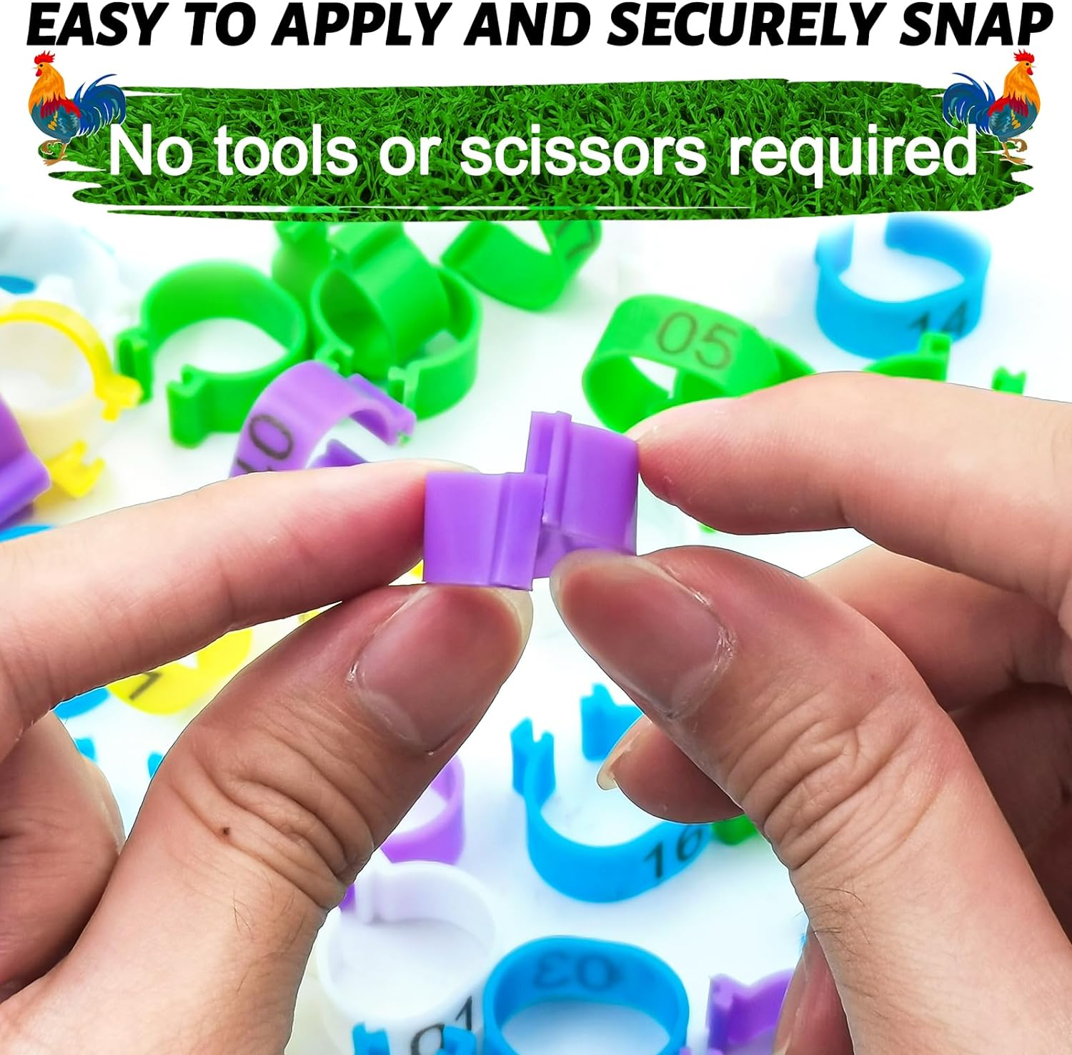 70 Pcs 20Mm Duck Leg Rings Colorful 01-70 Numbered Duck Identification Leg Bands, Duck Chicken Leg Tags Clip on Poultry Ankle Rings for Ducks Chicken Guinea Goose Gamefowl Turkey image number 6