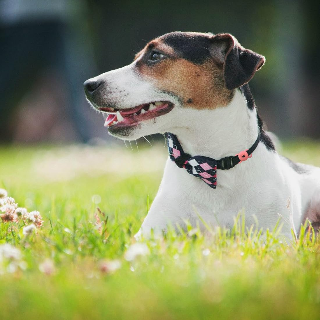 WUSJCOF 1 X Protective Case for Apple Airtag Pet Collar, Silicone Case for Airtag, Airtag Anti-Loss Locator Case for Dog Collar, School Bag image number 2