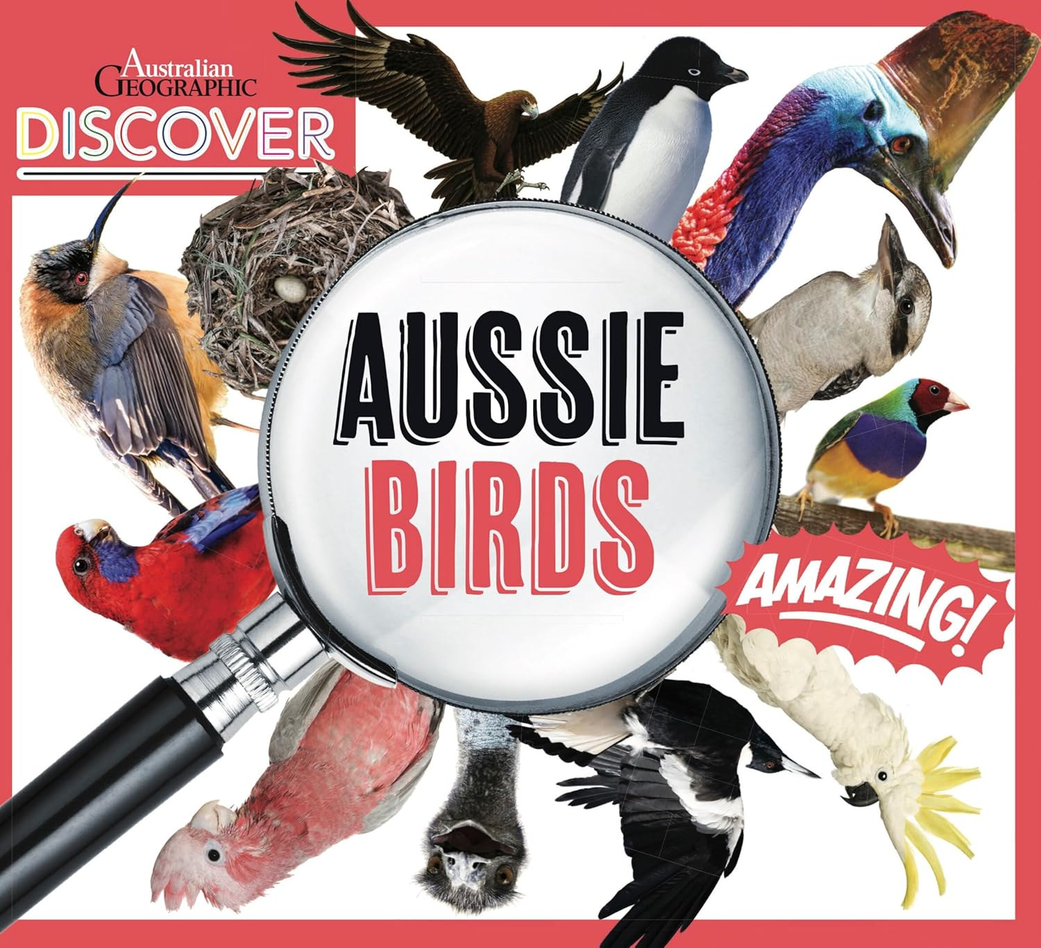 AG Discover: Aussie Birds image number 2