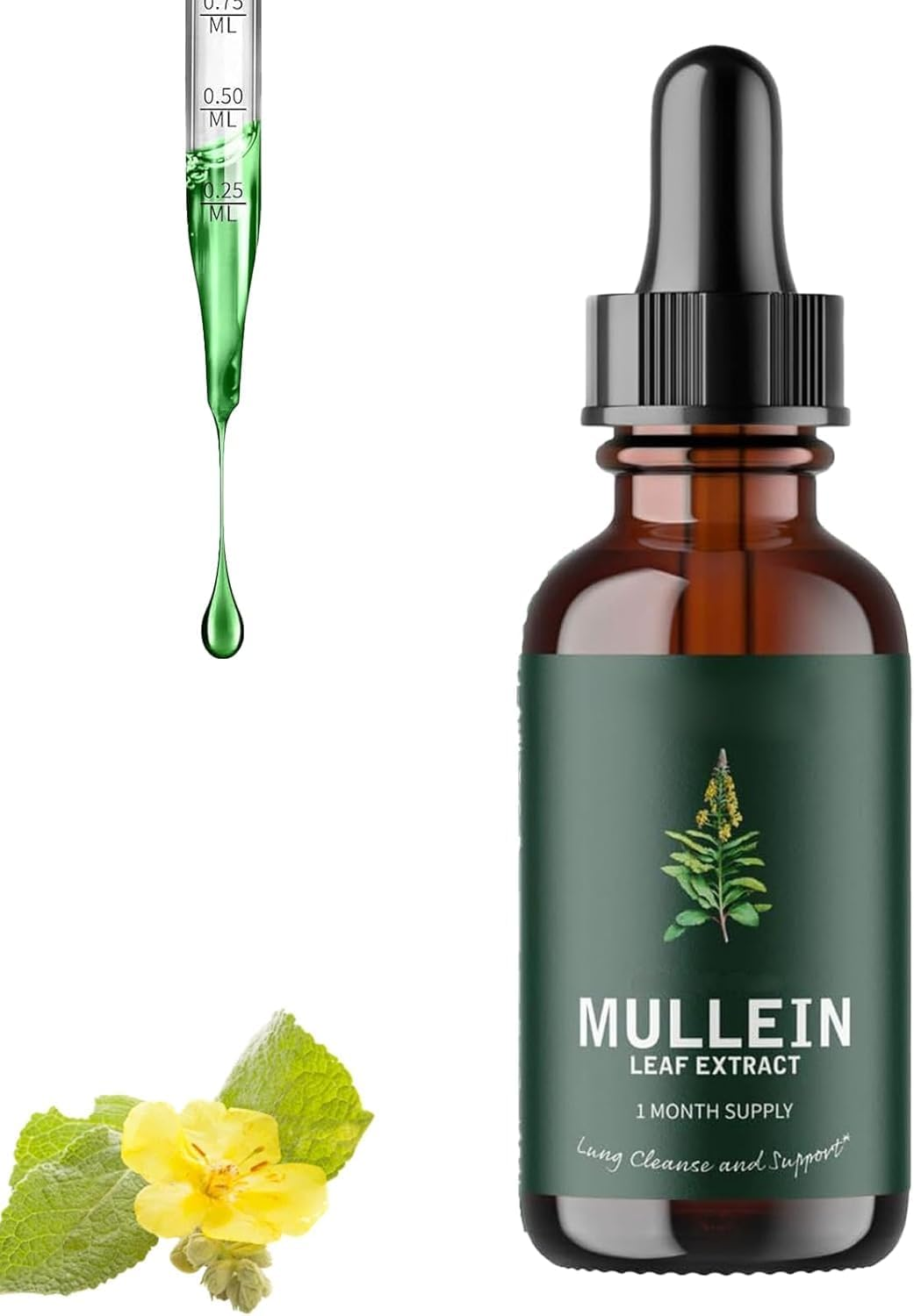 Mullein Leaf Extract,Mullein Chlorophyll,Mullein Extract,Mullein Leaf Liquid Extract, Super Concentrated Mullein Leaf Liquid Extract, Improve Lungs,2Pcs image number 1