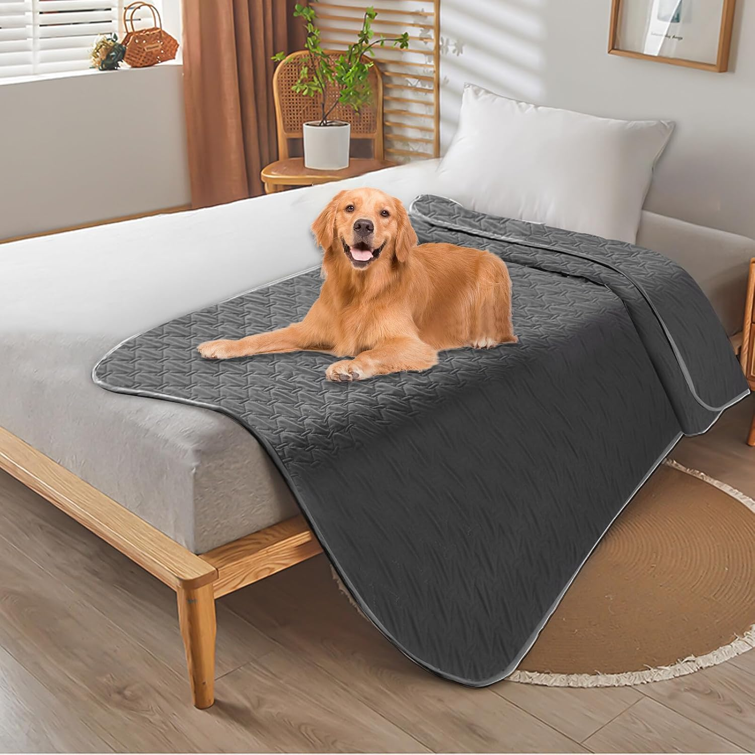 BAIFULAI Waterproof Dog Blanket, 180 X 75 Cm Dog Mat, Non-Slip Dog Blanket & Cat Mat, Sofa Protection/Bed Protector for Large and Small Dogs, Reversible Scratch-Resistant Protective Blanket, Dark Grey image number 4