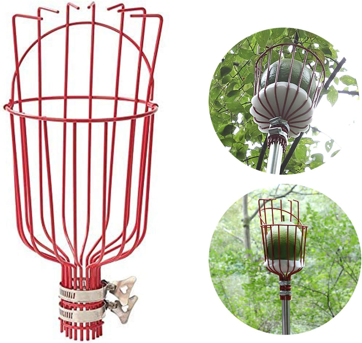 DIIG 8 Foot Fruit Picker Tool with Stainless Steel Pole, Picking Equipment for Lemons, Apples, Guavas, Avocados, Pears, Mangoes, Oranges image number 3