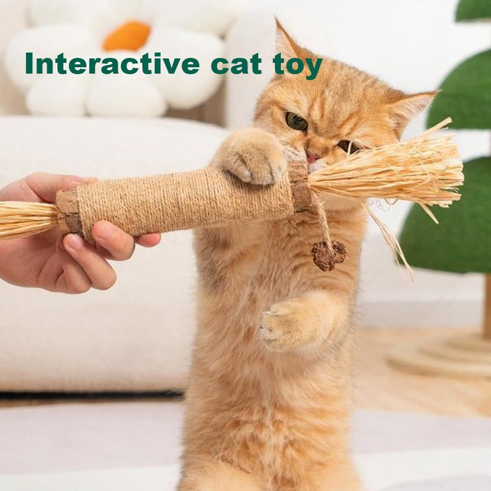 Huge Silvervine Sticks Cat Toys, Large Natural Catnip Kittens Chew Toy for Teeth Cleaning,Big Catmint Blend Stick, Dental Kitty Chews for Indoor image number 4