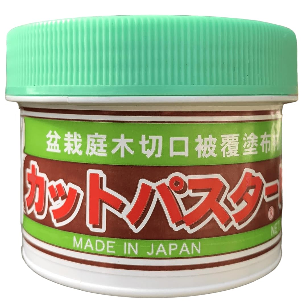 Bonsai Cut Paste &ndash; Japanese Wound Sealant Putty. Tree Care