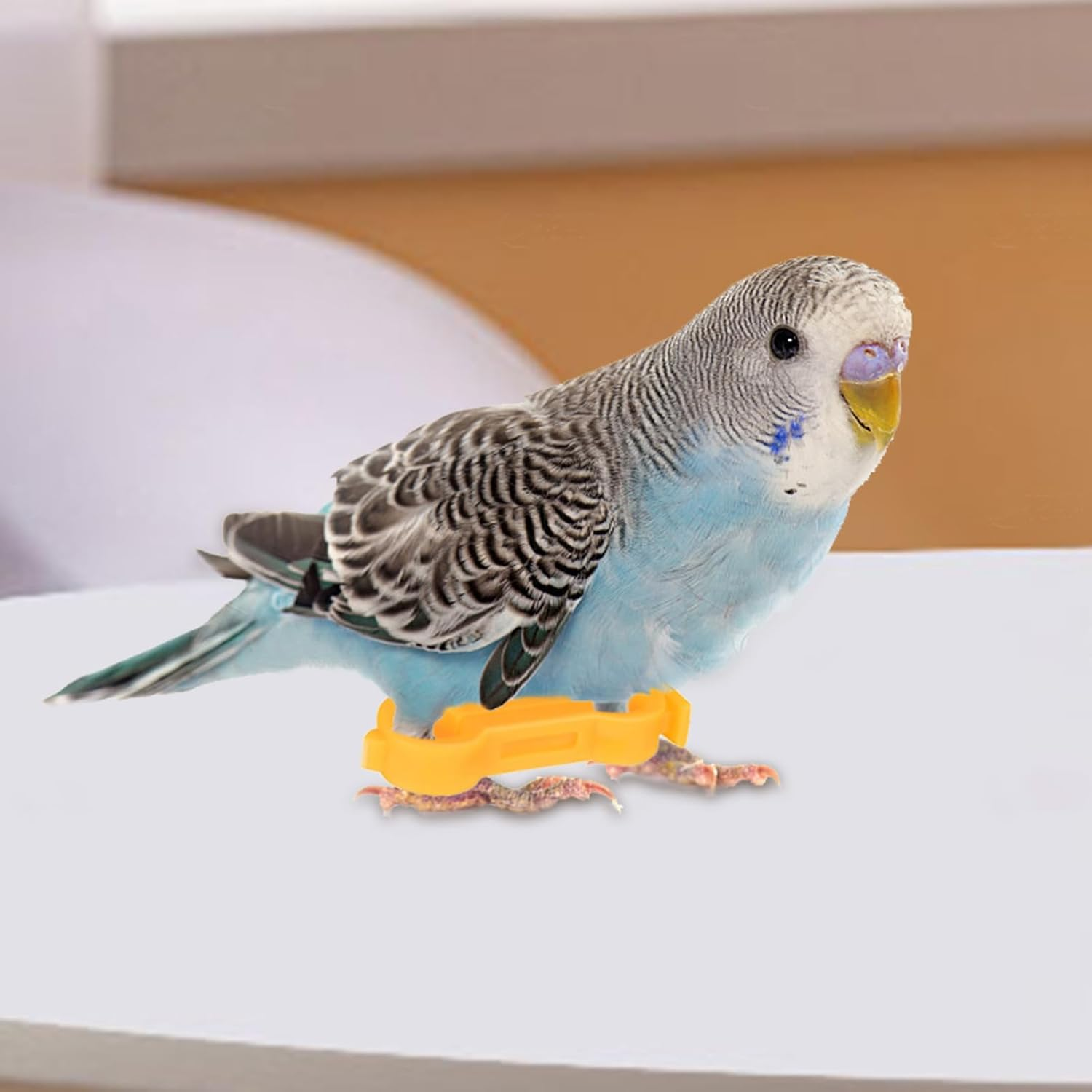 Baby Chick Splay Leg Bands - Baby Chick Splay Leg Hobble Bands | Adjustable Livestock Health Supplies for Newly Hatched Chicken Ducks Parrots Quails image number 1