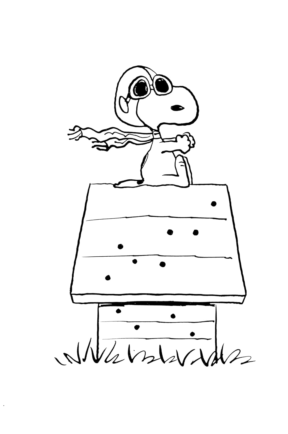 Peanuts: Snoopy and the Red Baron image number 1