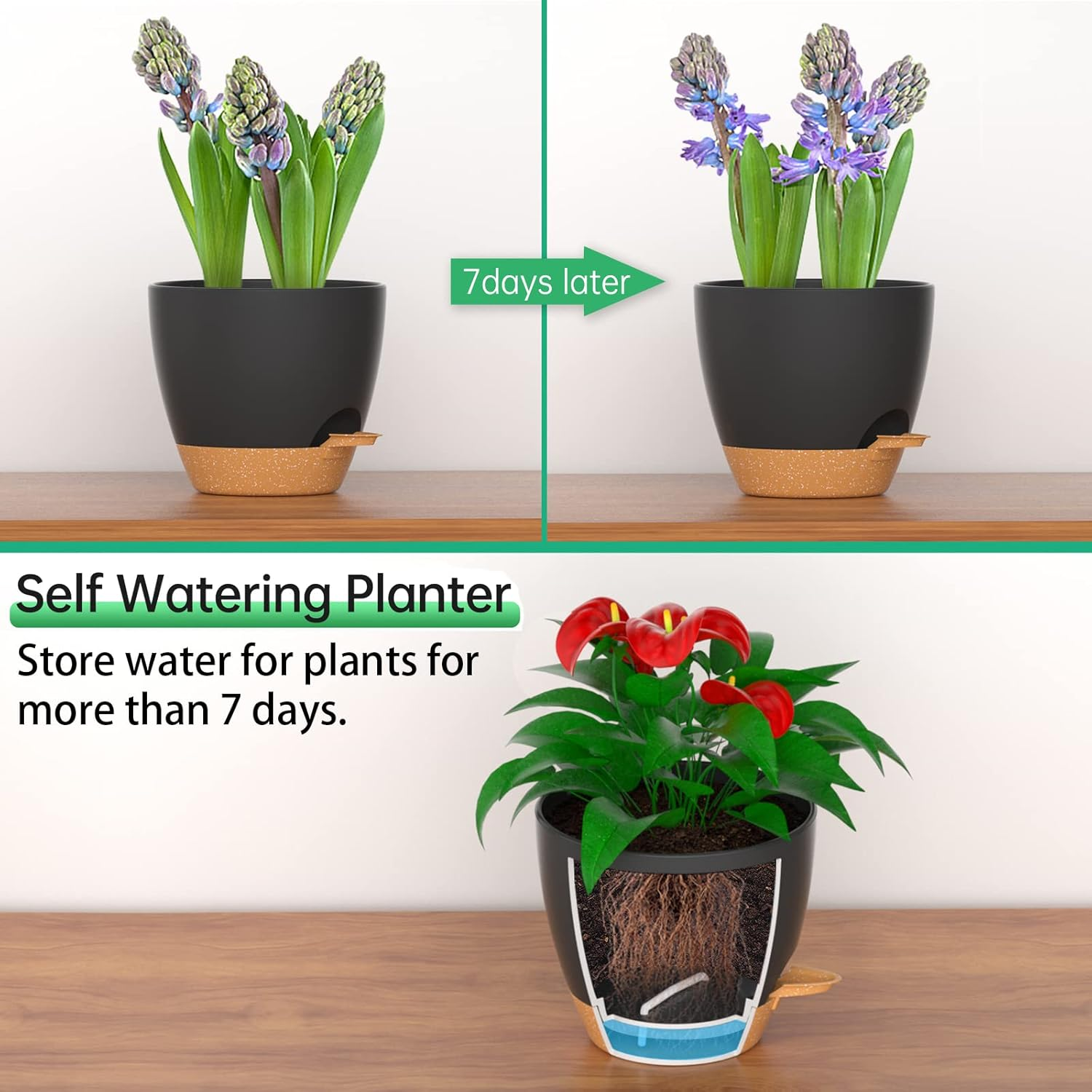 ZMTECH 20 Cm Plant Pots with Drainage Holes Saucer Self Watering Planters with Watering Inlet Plastic Flower Pot for Indoor Outdoor Plants (Set of 2, Black) image number 3