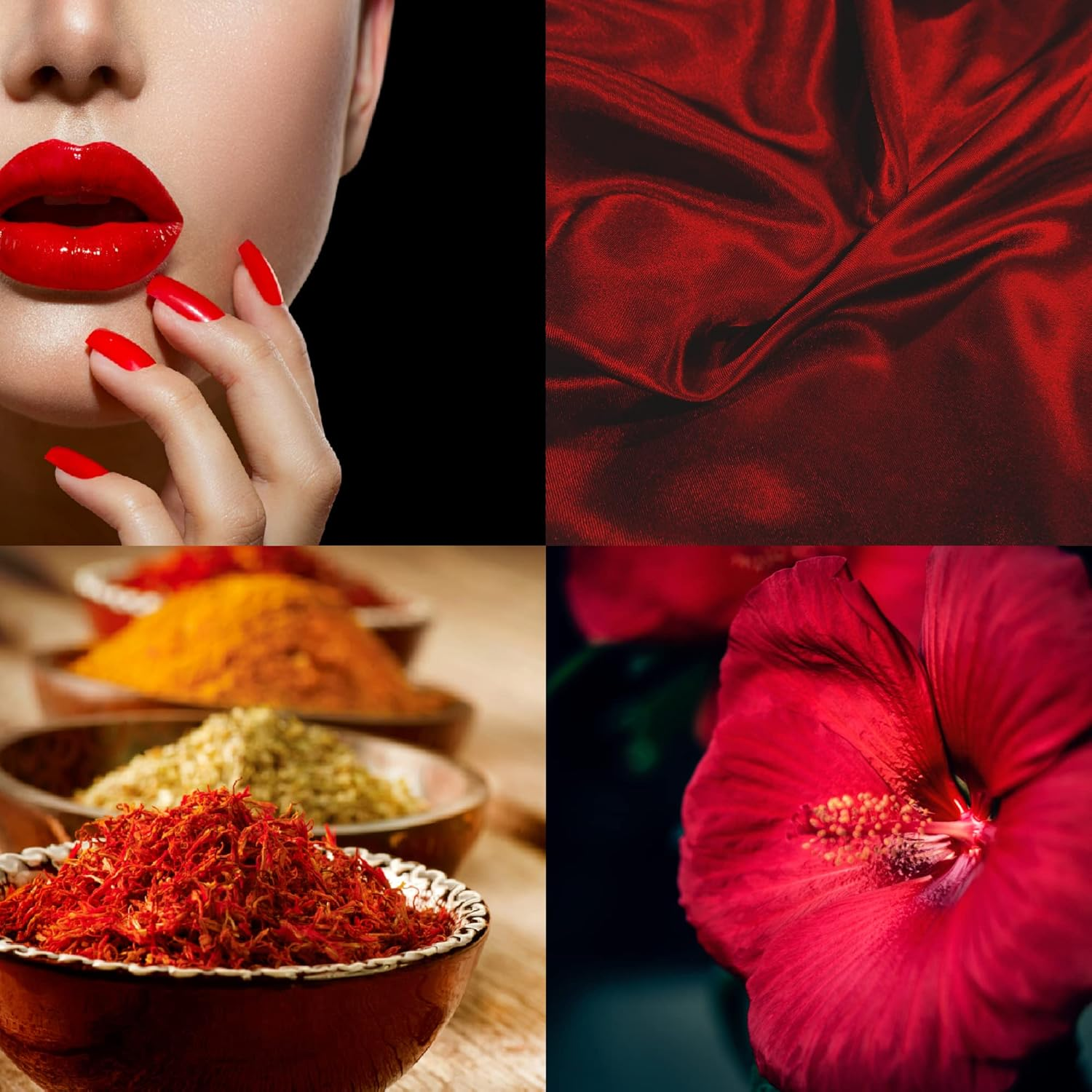 Milton-Lloyd Jean Yves to Go - Fragrance for Women - 50Ml Parfum De Toilette (Pack of 2)