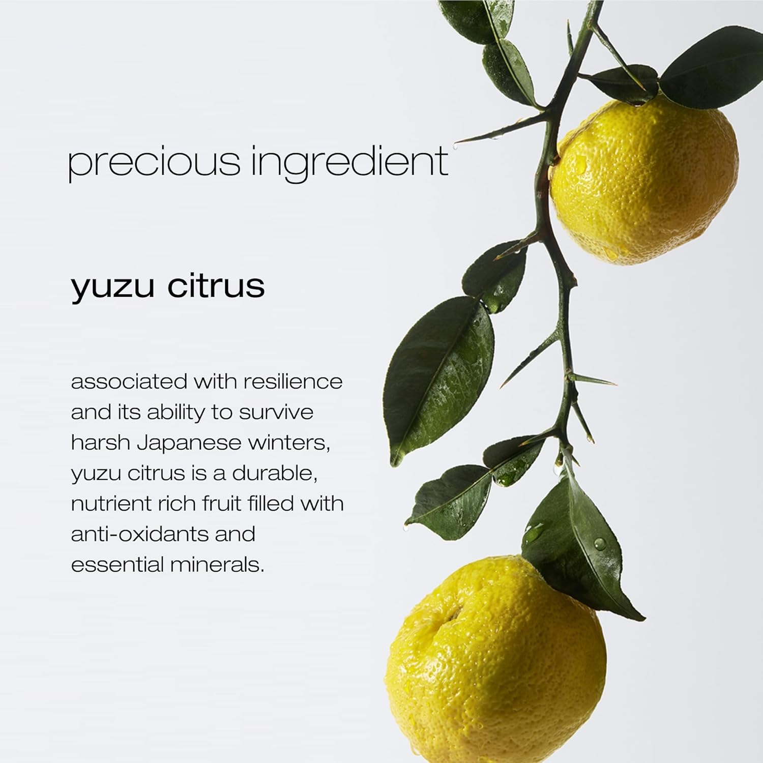 Shu Uemura Pure Serenity Deep Cleanser, Clarifying Shampoo for Oily Scalp and Oily Hair, with Japanese Yuzu Lemons, Removes Dirt Particles from the Scalp, 400 Ml image number 2