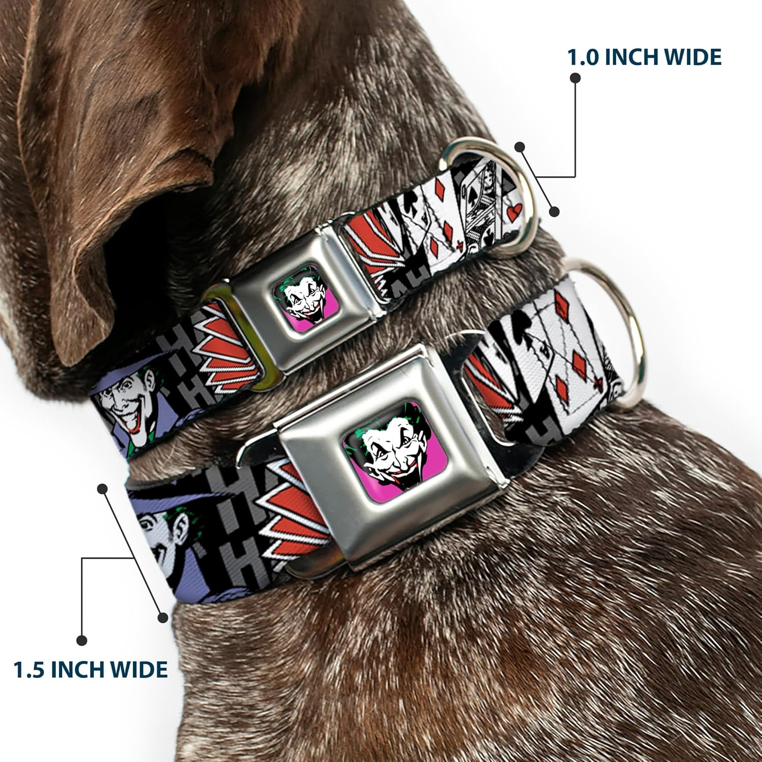 Buckle-Down Seatbelt Buckle Dog Collar - the Joker Pose/Cards/Hahahaha Black/Gray - 1.5" Wide - Fits 18-32" Neck - Large image number 6