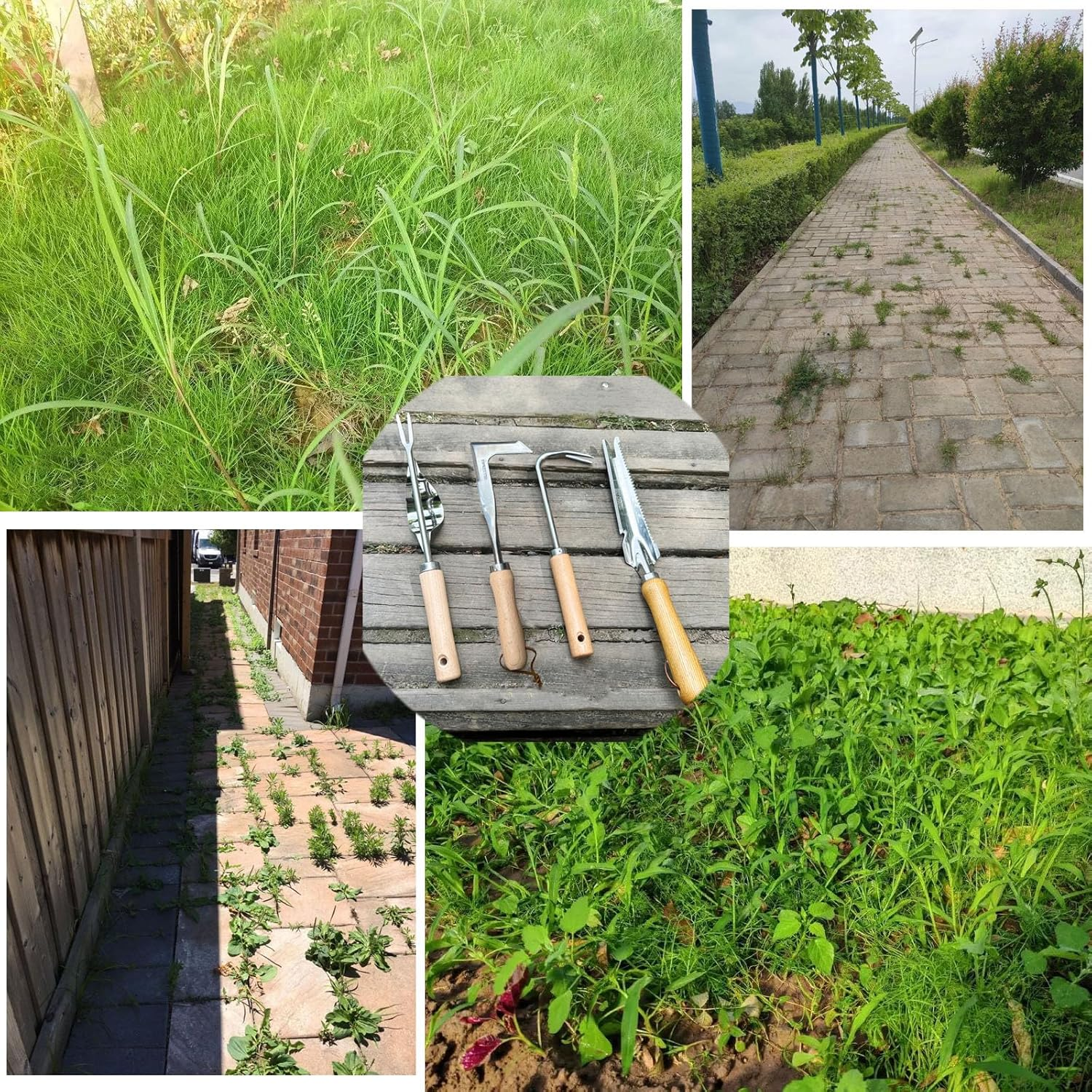 Shgarden Weed Puller Tool 4Pcs Crack Weeder Crevice Weeding Tool Stainless Steel Manual Weeder Paver Multifunctional Garden Crack Hand Weed Remover with Wooden Handle for Lawn Garden SH0082 image number 1