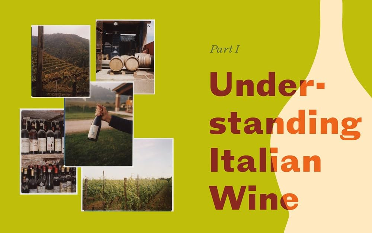 Italian Wine: the History, Regions, and Grapes of an Iconic Wine Country image number 2