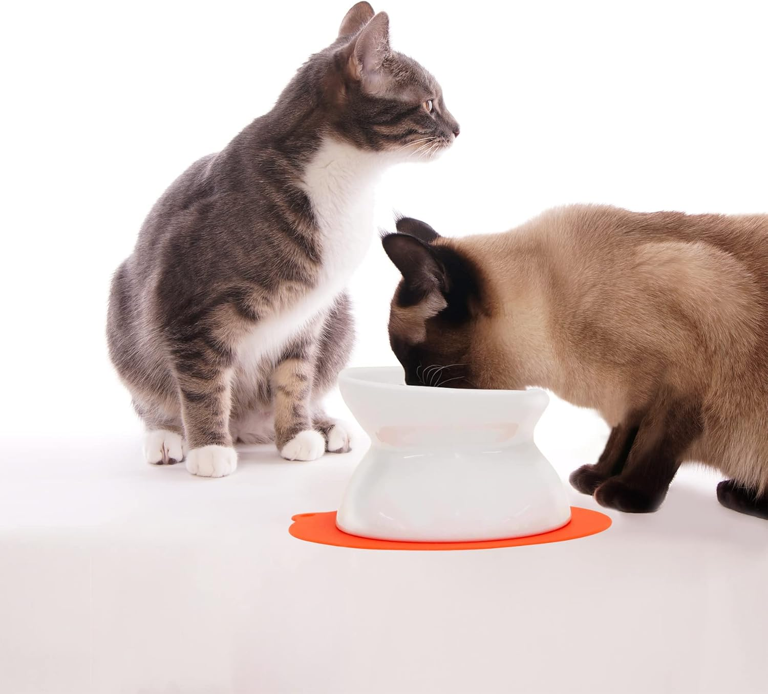 Hario Nyan Predouble Other Pale Pink Cats image number 4