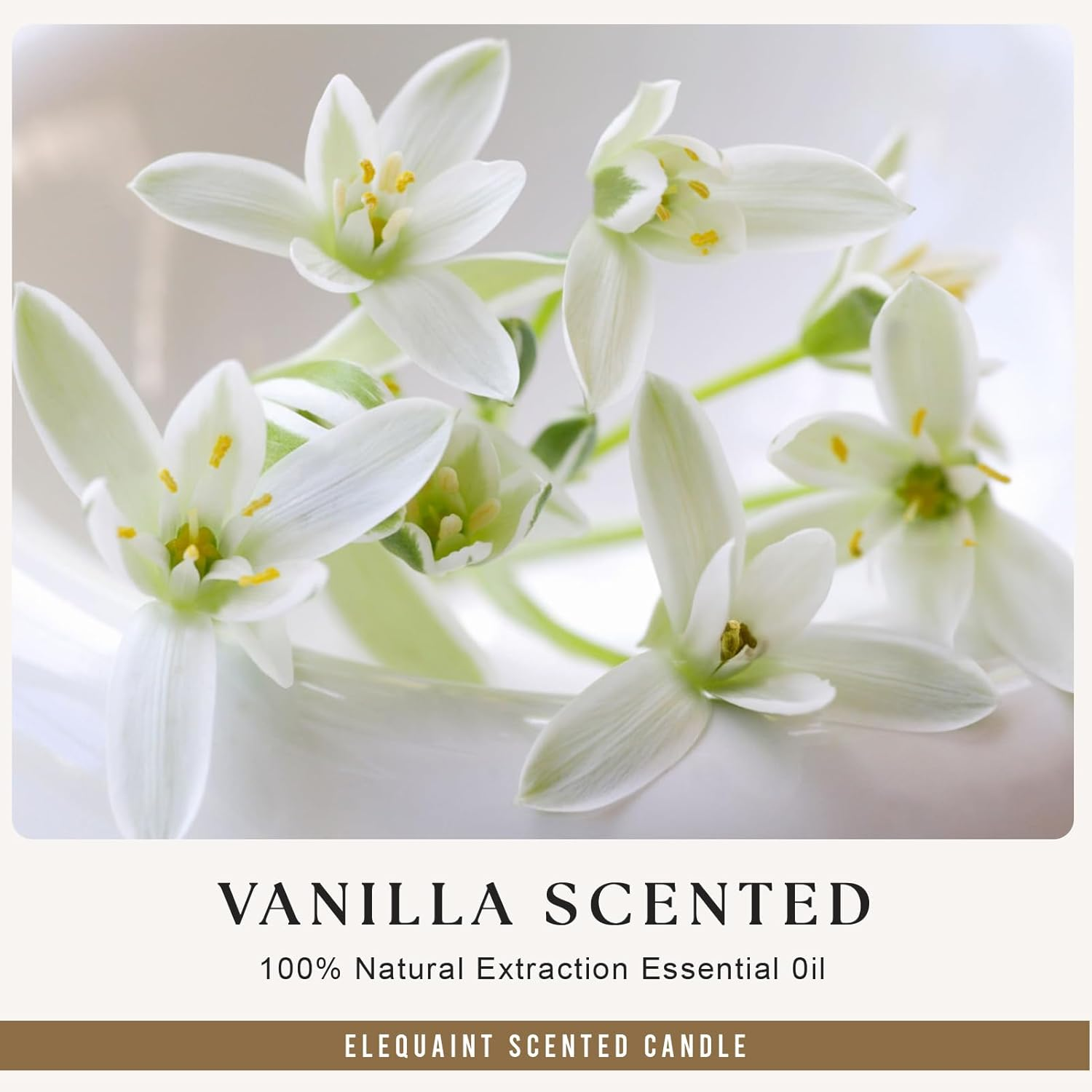 Pregnancy Announcement Gifts for Grandparents, Baby Announcements Ideas - Vanilla Scented Candles, Pregnancy Reveal, You'Re Going to Be Grandparents Again Baby Announcement image number 1