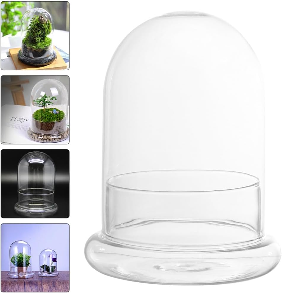 Glass Terrarium Cloche Clear Glass Dome Micro Landscaping Container, Ecological Bottle Display Case for Plants Succulents Moss image number 6