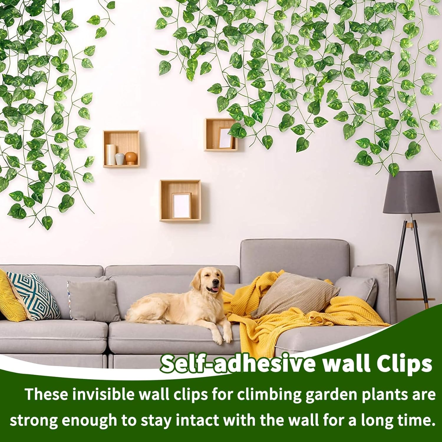 Plant Clips 40 Pcs Plant Wall Clips Plant Clips for Climbing Plants Indoor Plant Climbing Clips Plant Holder Clips Plant Climbing Wall Fixing Clip Plant Hanger Clip Vine Clips Vine Leaf Clips