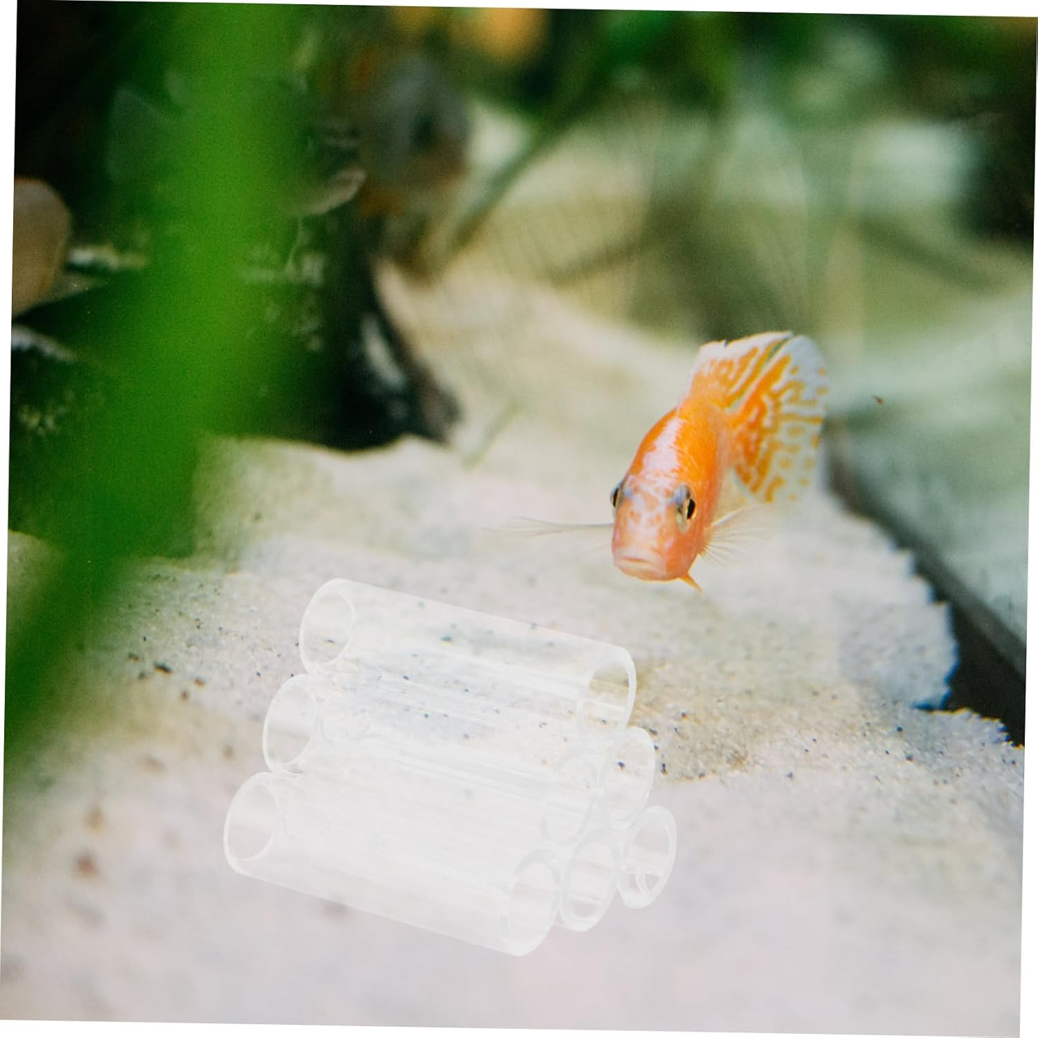 BUGUUYO 6Holes Transparent Acrylic Shrimp Breeding Tube Aquarium Shelter for Fish and Turtles Versatile Habitat Decoration Acrylic Design for Easy Monitoring of Aquatic Pets image number 2