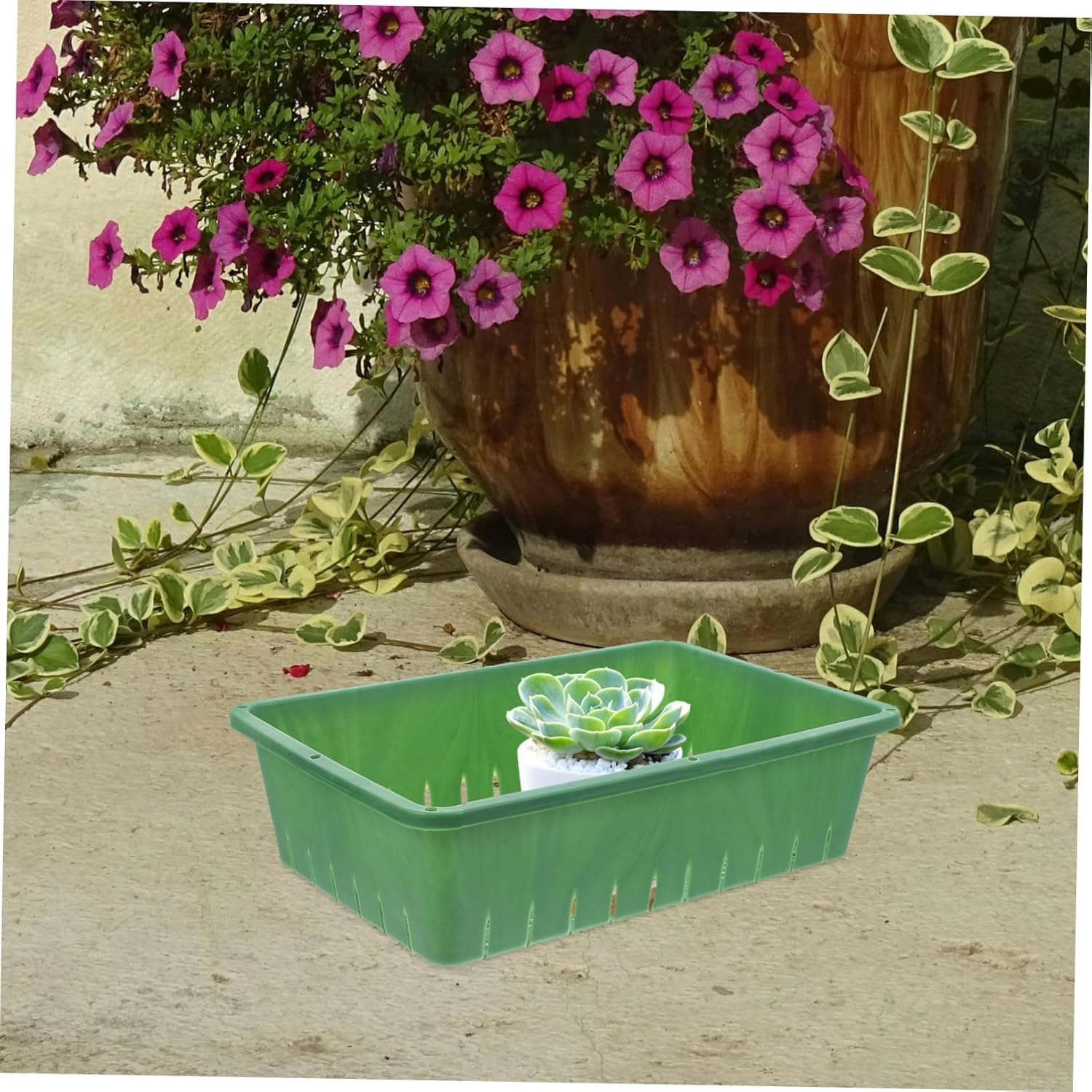 CAXUSD Seedling Tray and Planter Tray for Indoor Gardening Small 26&times;18&times;7Cm Plastic Nursery Supply Breathable Design with Proper Air Circulation 2Pcs Green Rectangular Seedling for Seed image number 5