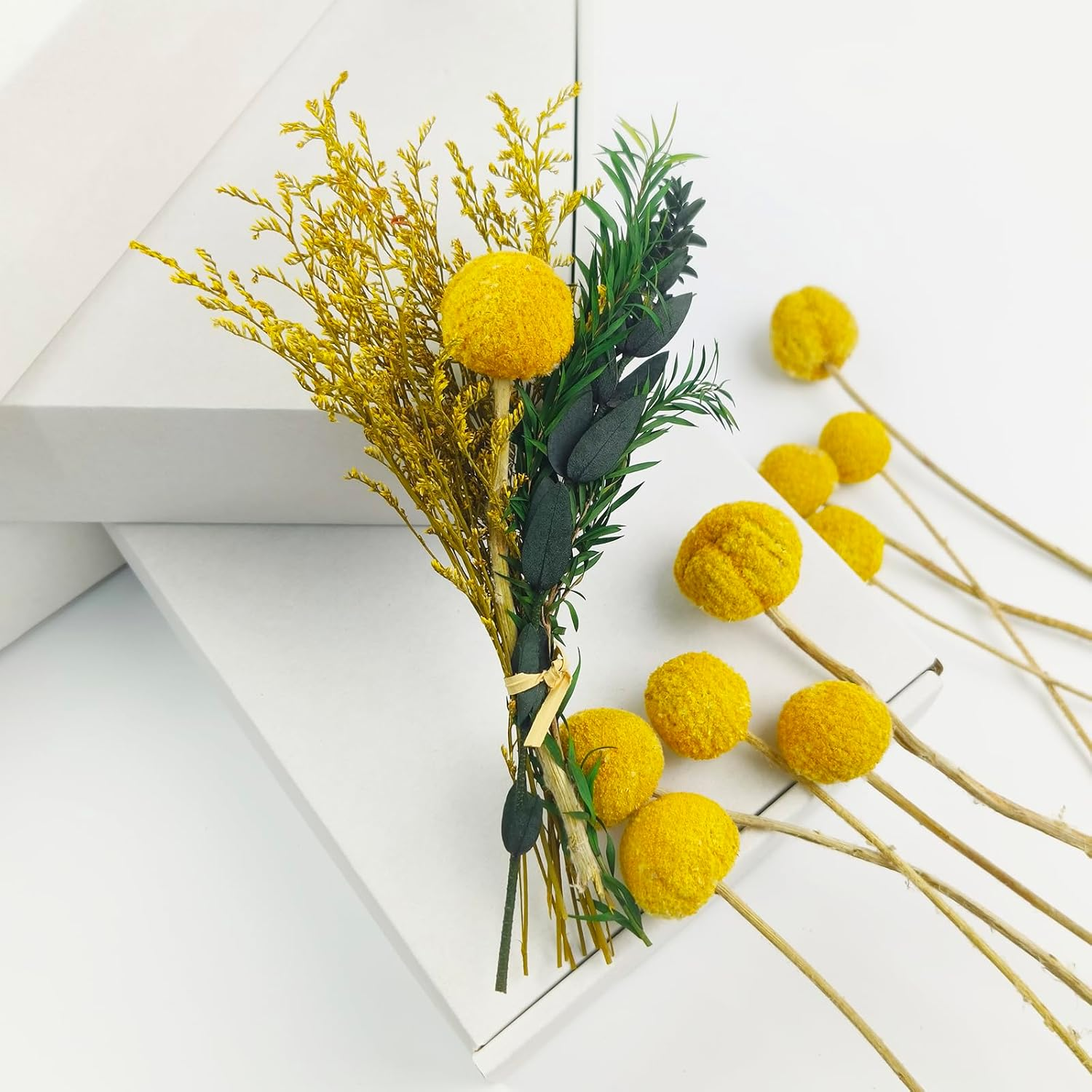 Tooget Natural Craspedia Dried Flowers Yellow Billy Buttons Balls Bouquet Bundles, Real Freshly Harvested Dry Plant Bunch Arrangements Decorate for Home Crafts, Party, Wedding, Store image number 5