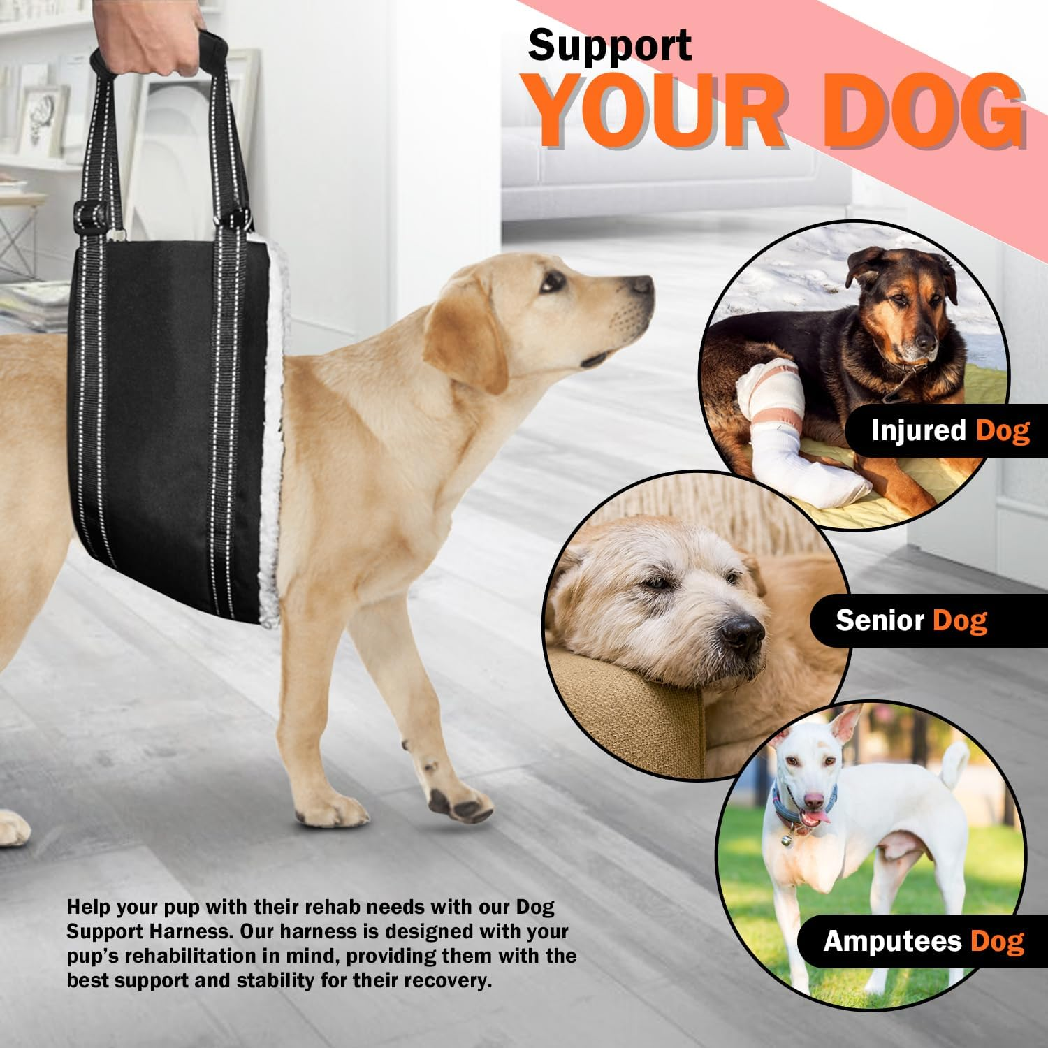 Dog Lift Support Harness Portable Sling for Support to Help Dogs Rear Rehabilitation and Disable Injured Elderly Pet - Helps Dog with Weak Front or Rear Legs Walk, Get into Cars, Climb Stairs - Medium image number 6