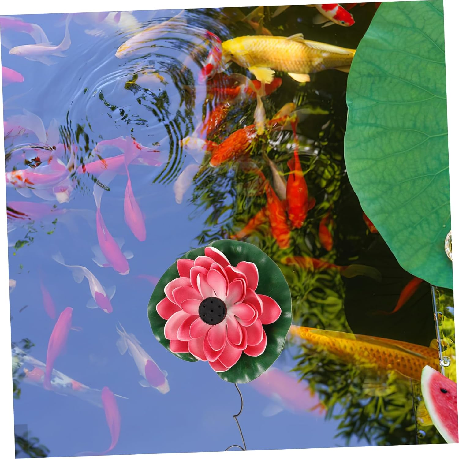 Balacoo Solar-Powered Floating Water Fountain Lotus Leaf Design Outdoor Garden Pond Decoration 7V 1.2W Cherry Red Flower Floating Pool Fountain for Landscape Water Features