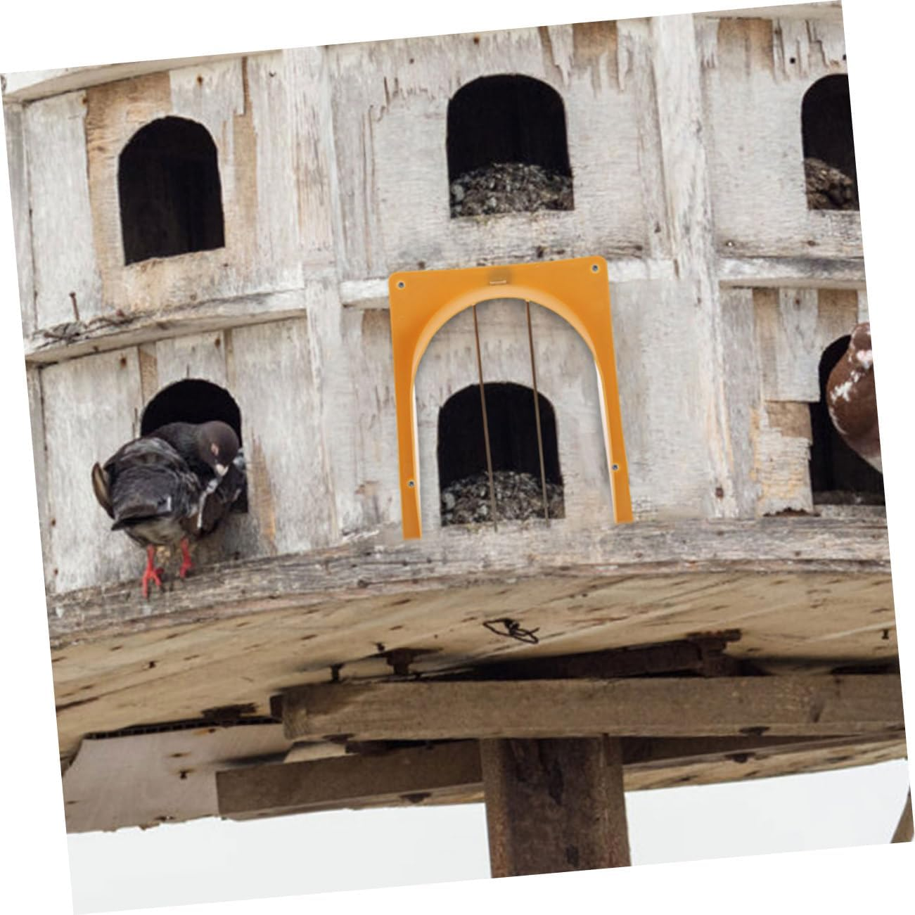 Ifundom European Style Pigeon Cage Door Entrance with One-Way Anti-Escape Design Plastic and Stainless Steel Bird Racing Accessory for Secure Dove Housing image number 2