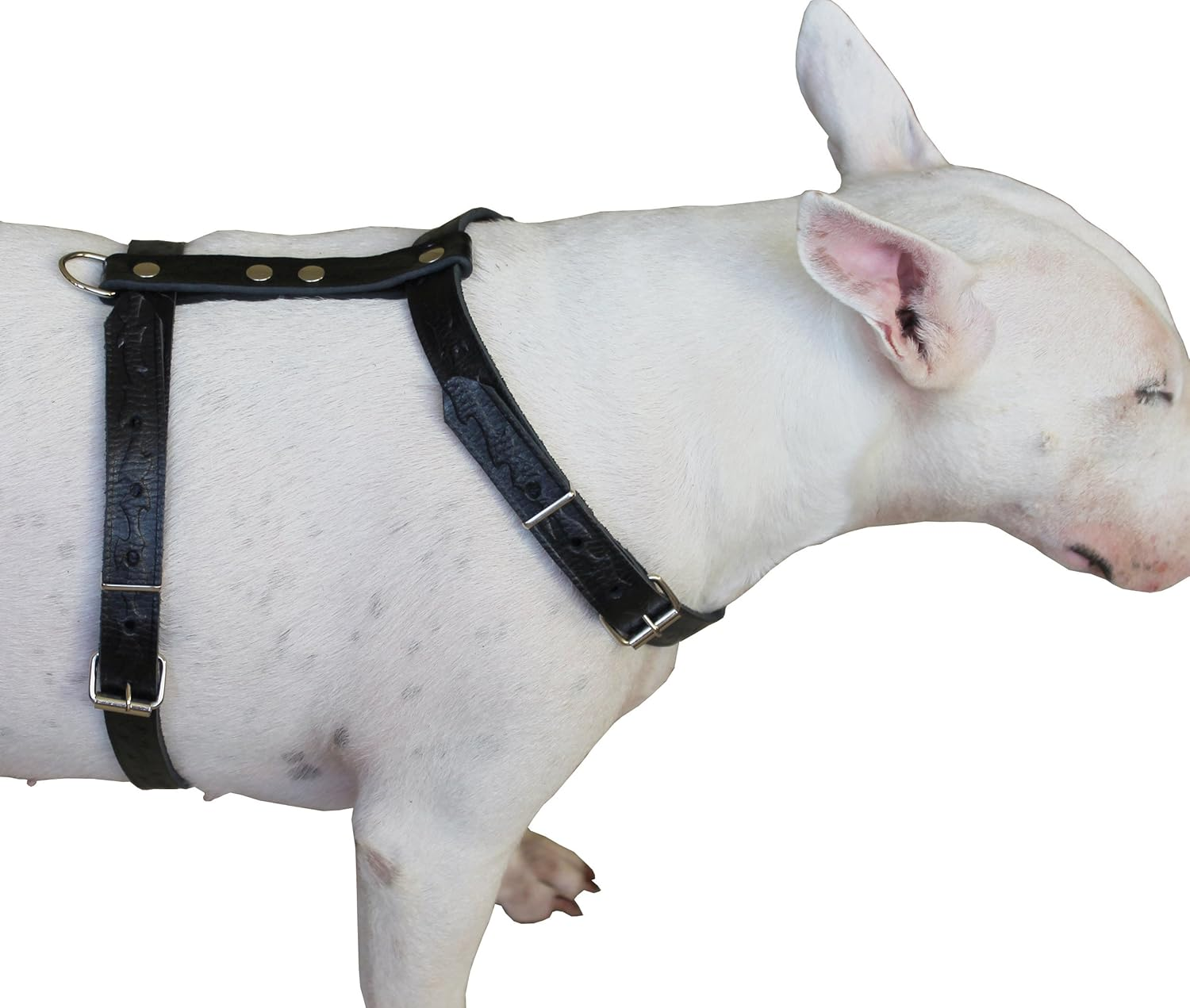 Genuine Tooled Leather Dog Harness Medium. 22-30 Chest 3/4 Wide Straps image number 4