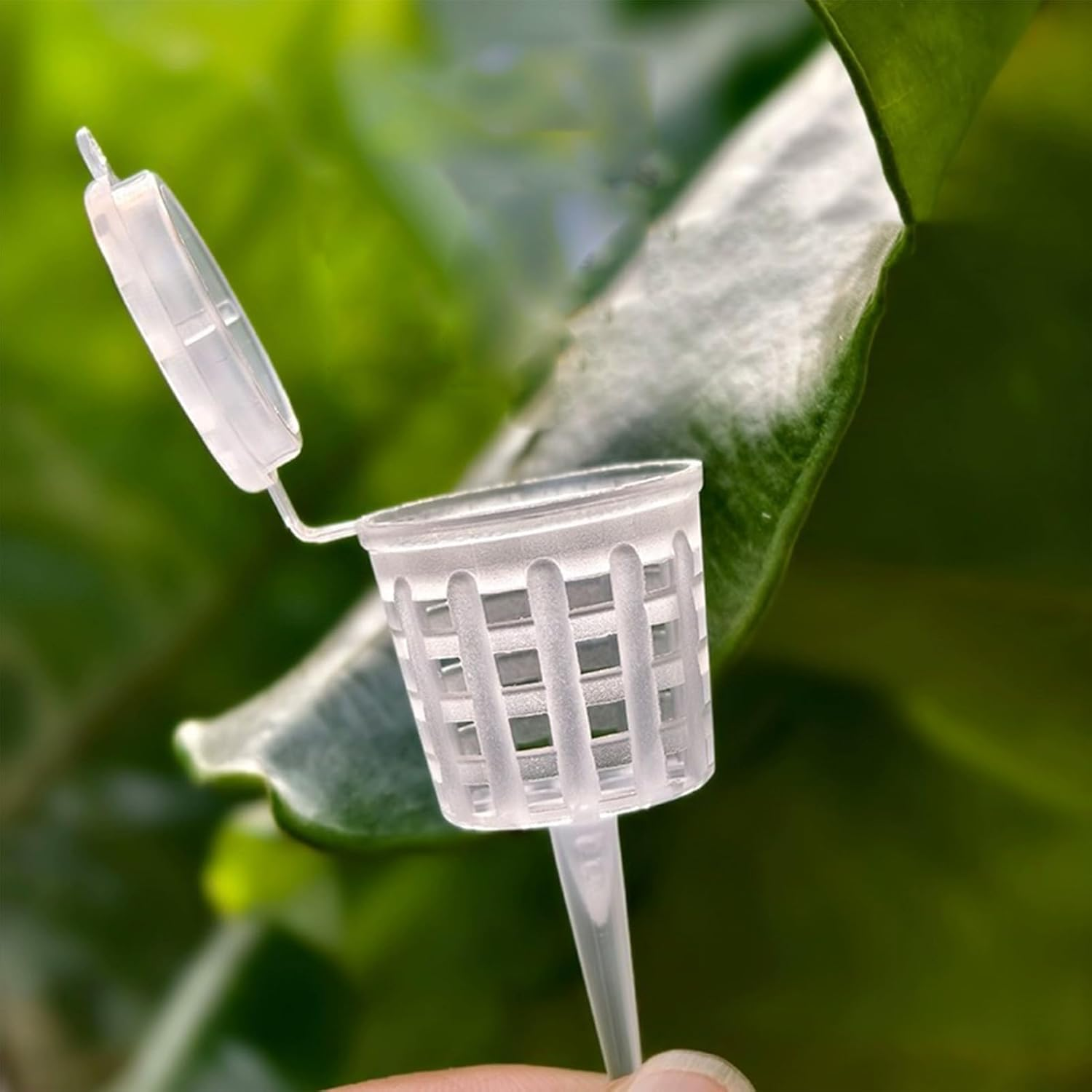 Bonsai Fertilizer Box | Fertilizer Baskets with Lid - Plant Planting & Care Supplies for Orchid Flower Plant Succulent Garden image number 4