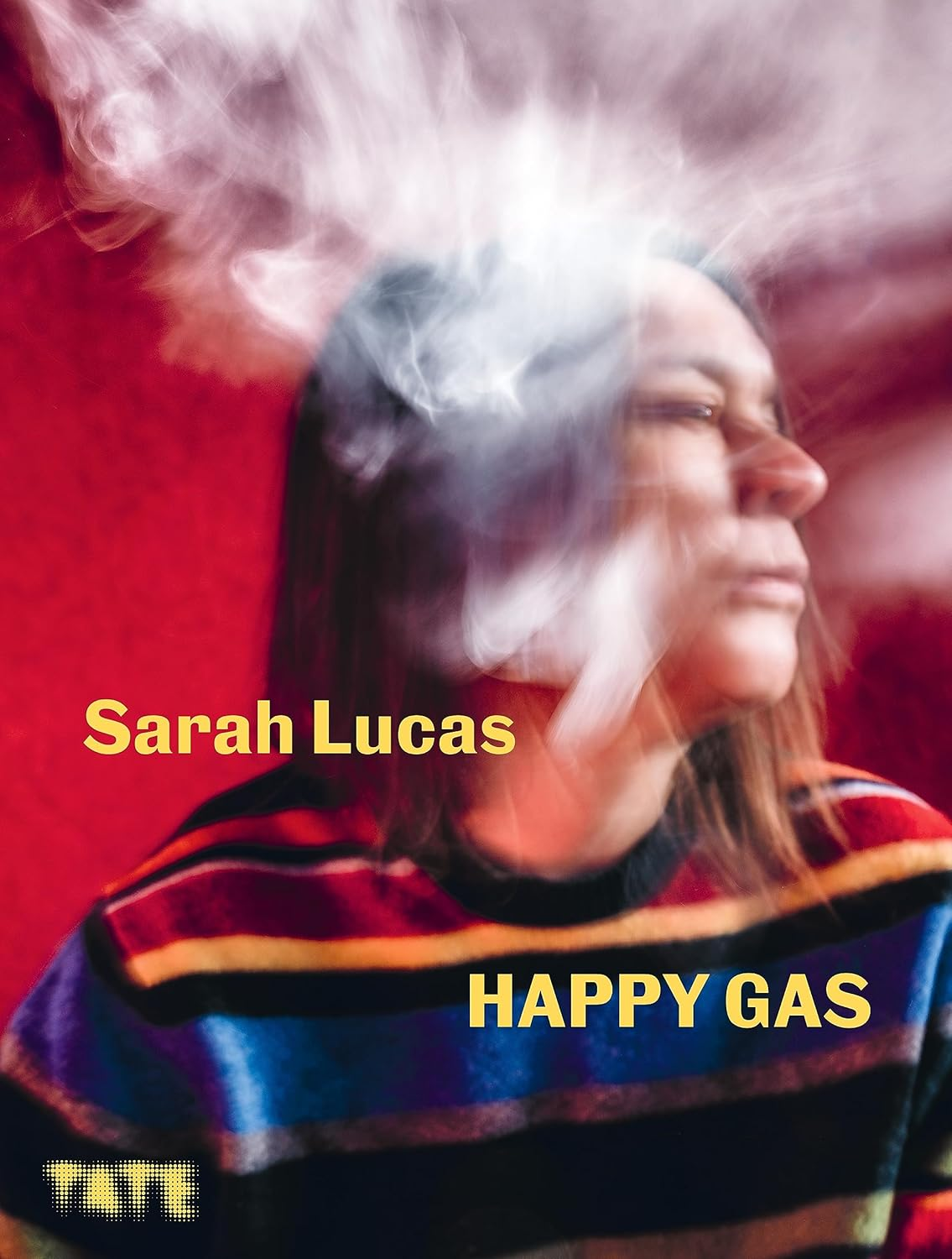 Sarah Lucas: Happy Gas image number 4