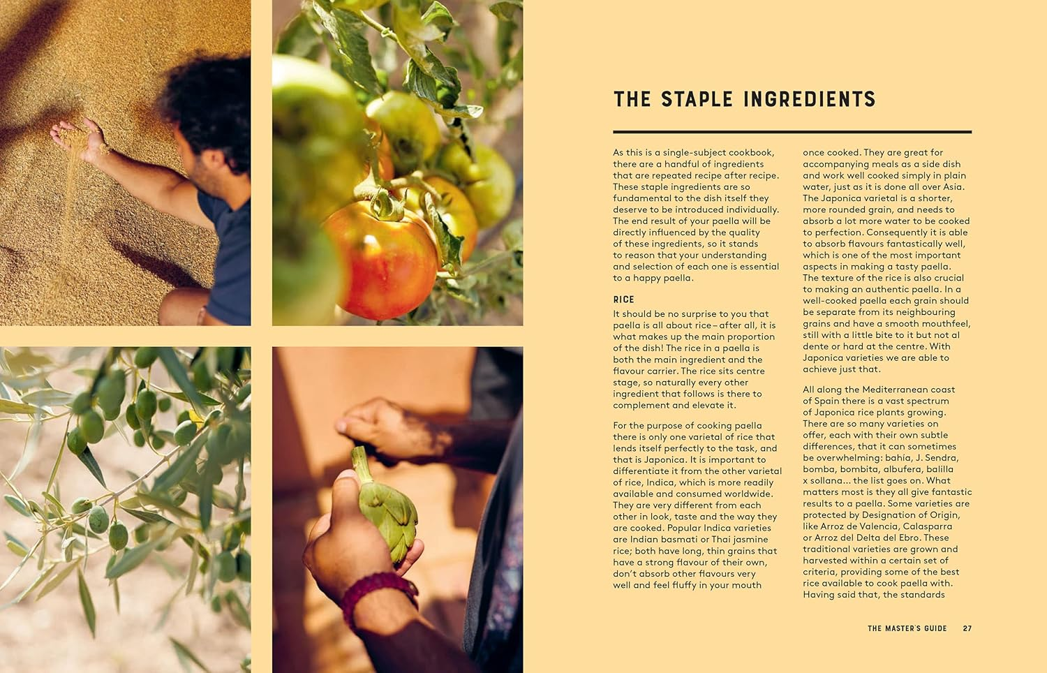 Paella: the Original One-Pan Dish: over 50 Recipes for the Spanish Classic image number 3