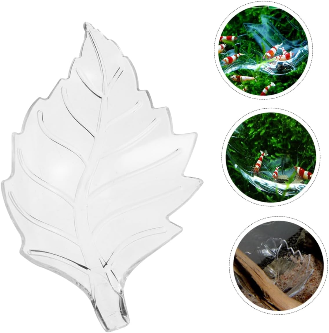 NAMOARLY Shrimp Feeding Bowl and Aquarium Shrimp Feeder Dish Small Size Crystal Material Fish Tank Feeding Tray for Aquatic Pets image number 2