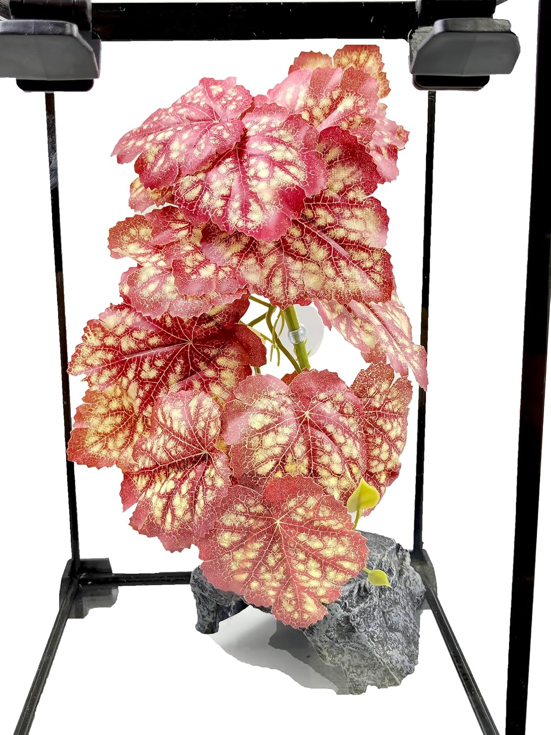 Woyrise Reptile Plants, Terrarium Hanging Plants Vines for Reptile Tank, Amphibian Habitat Leaves Decor with Suction Cup for Bearded Dragon Lizard Snake Gecko Frog Hermit Crab - 2Pcs Pink Heuchera - Calathea Orbifolia image number 4