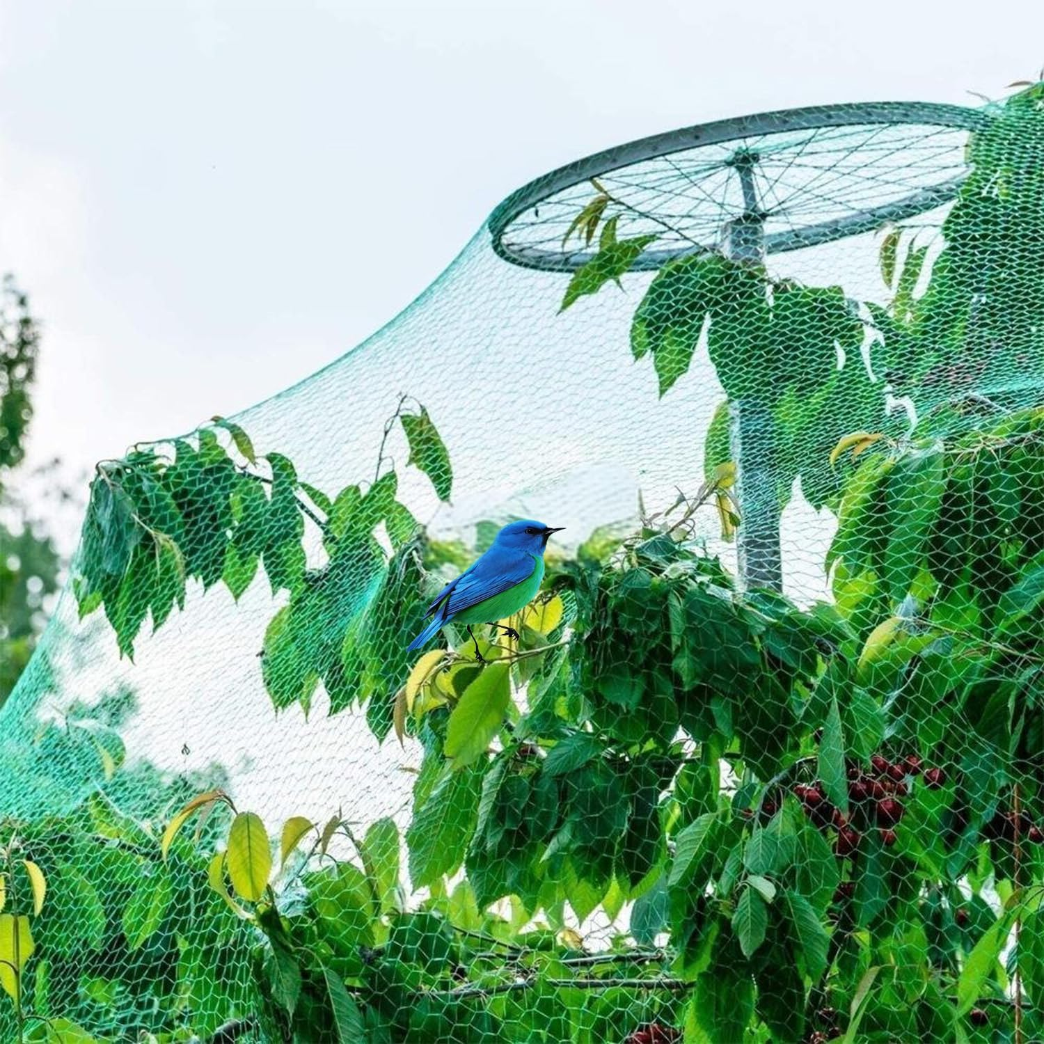 Durable 4M X 10M anti Bird Protection Net, Reusable Corrosion Resistance Garden Protective Fencing Mesh to Protect Seedlings, Plants, Flowers, Fruit Trees, Vegetables from Rodents, Birds, Deer image number 1