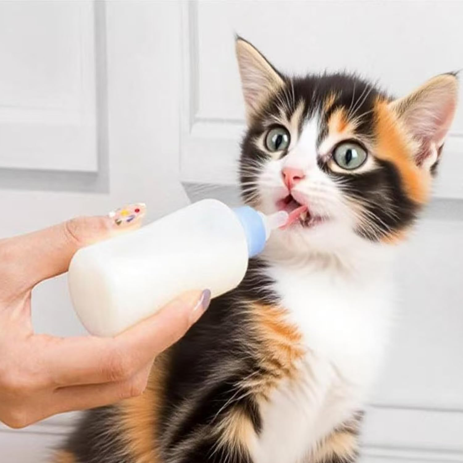 UQMIQURA Pack of 2 Cat Breeding Bottles, 60 Ml Cat Bottle Set, Pet Baby Bottle Kit with Cleaning Brush and Replacement Nipples, Breeding Bottle Pet Milk Bottle for Kittens image number 2