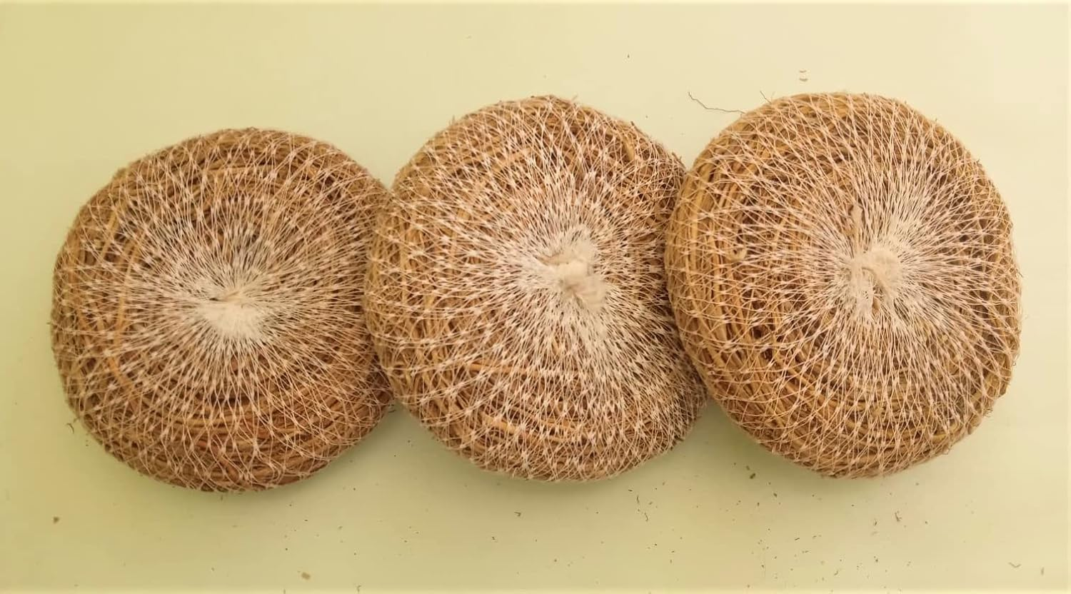 Vetiver (Khus) Ramacham Root Stress Relief Natural Body Coolant Natural Fragrance_Organic Body Bathing Scrubber Pack of 3 image number 1