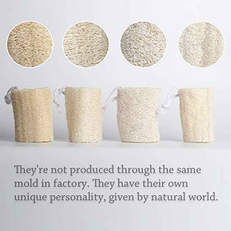 4-Inch Natural Loofah Sponge, Pack of 4 Plant-Based Body Scrubbers for Exfoliating Skin & Dishes image number 1