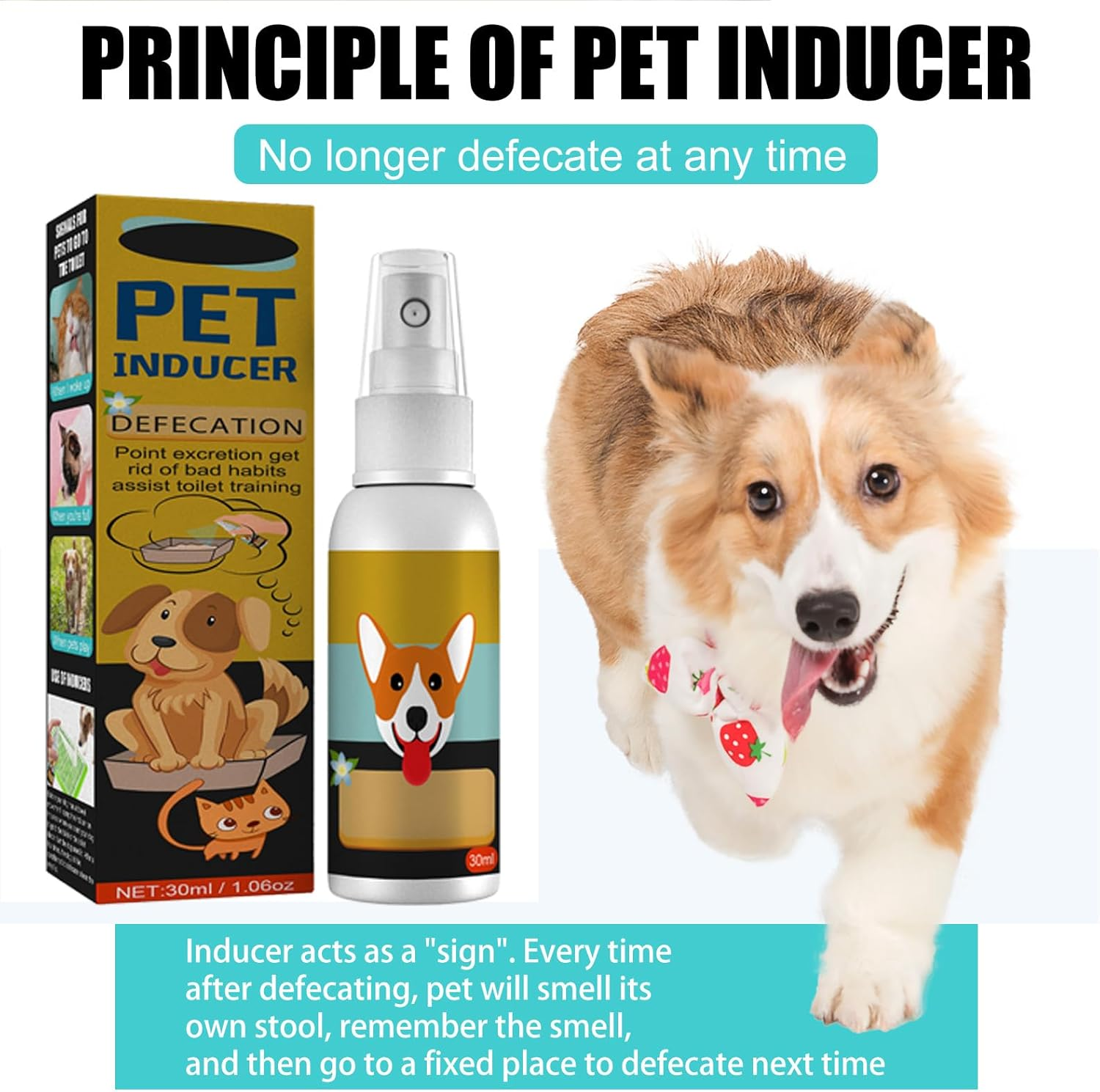 Potty Training Spray, Potty Here Training Aid Spray, Dog Attractant Spray, Potty Training Aid, Puppy Potty Training Spray, Potty Here Training Aid Spray, Puppy Training Spray Dog Cat image number 5
