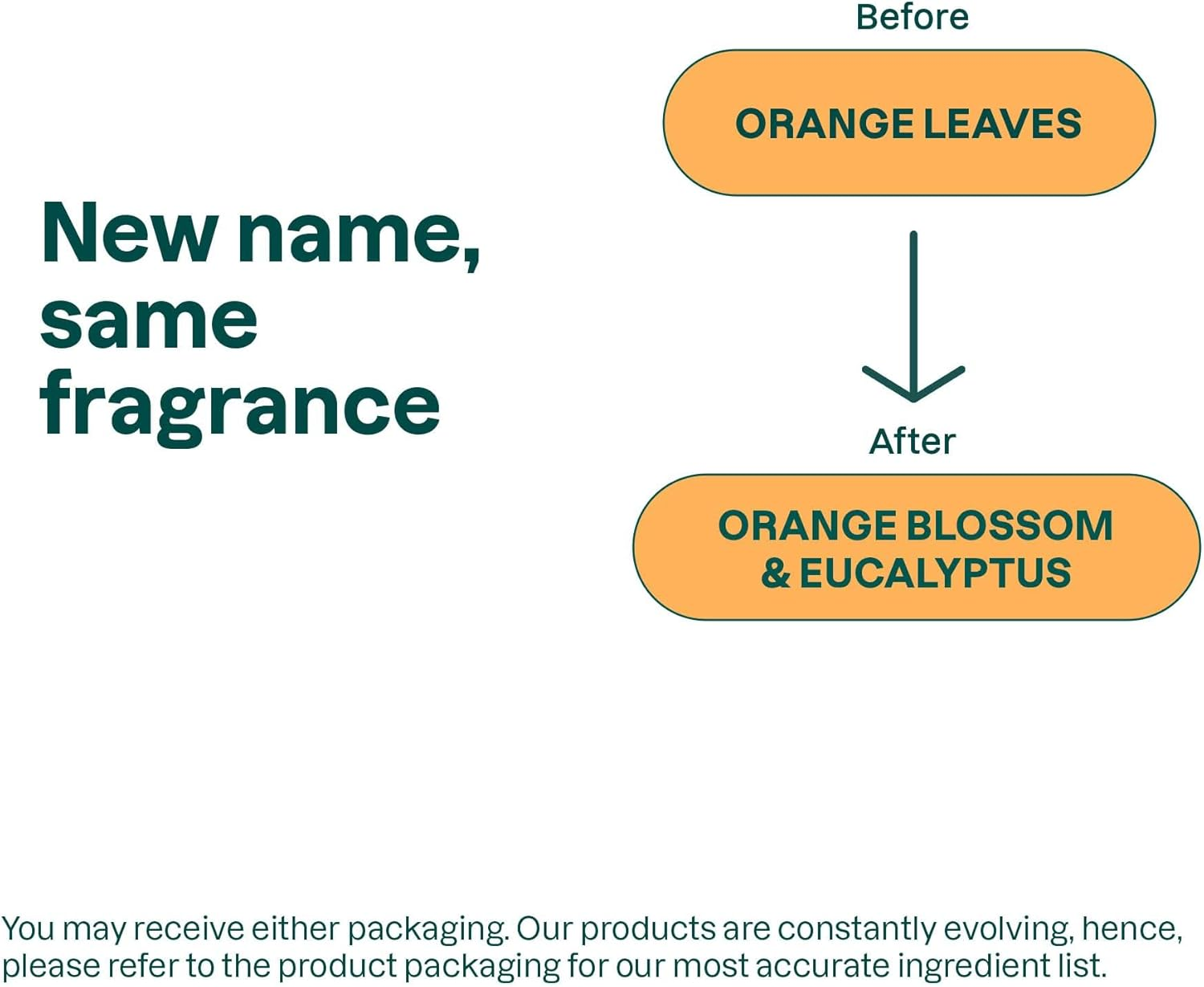 ATTITUDE Body Wash, EWG Verified, Plant- and Mineral-Based Ingredients, Vegan and Cruelty-Free Shower Soap, Orange Leaves, 32 Fl Oz image number 6