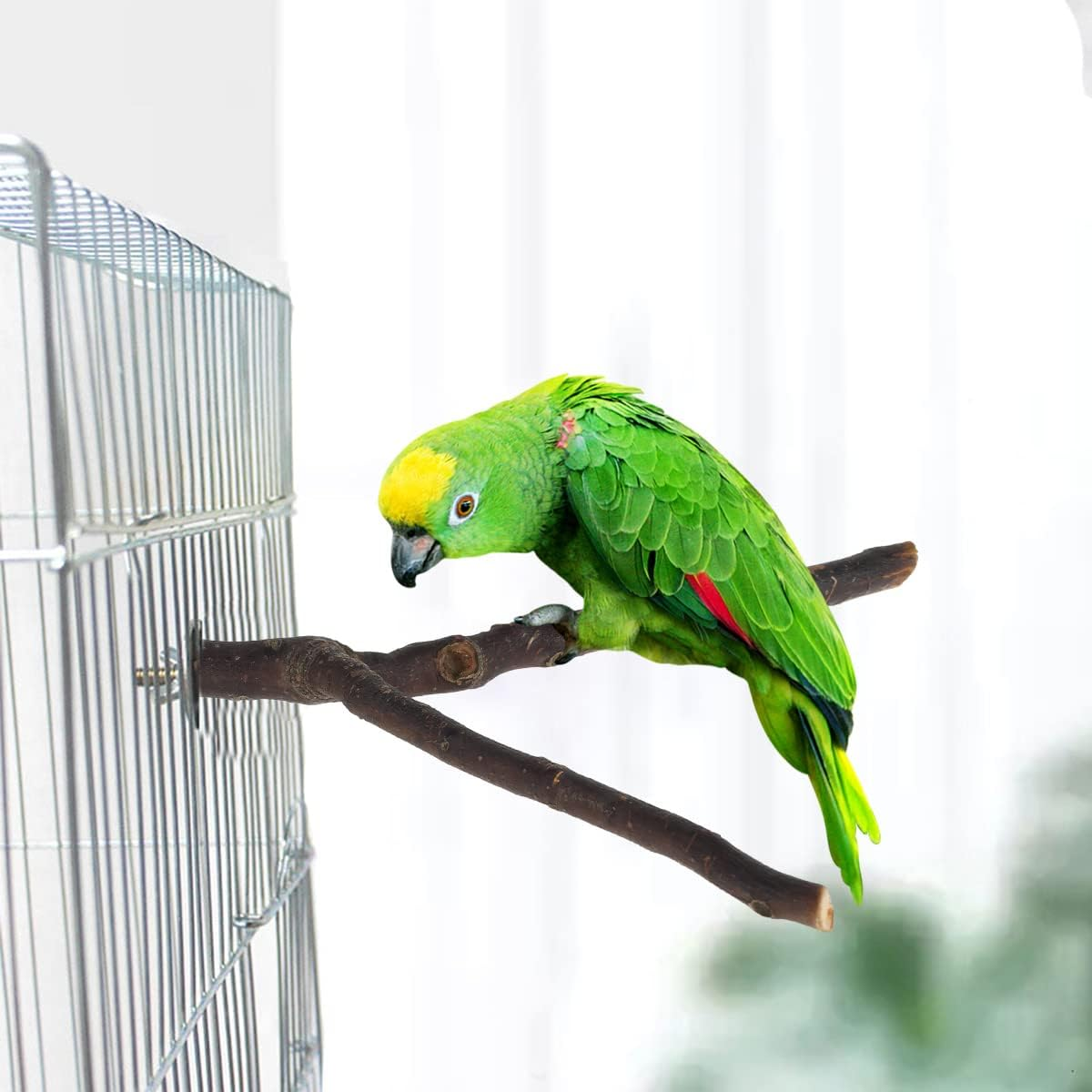 2/10Pcs Parrot Bird Perches Natural Wood Bird Stand Platform Wooden Exercise Climbing Paw Grinding Toy Birdcage Accessories(2Pc) image number 3