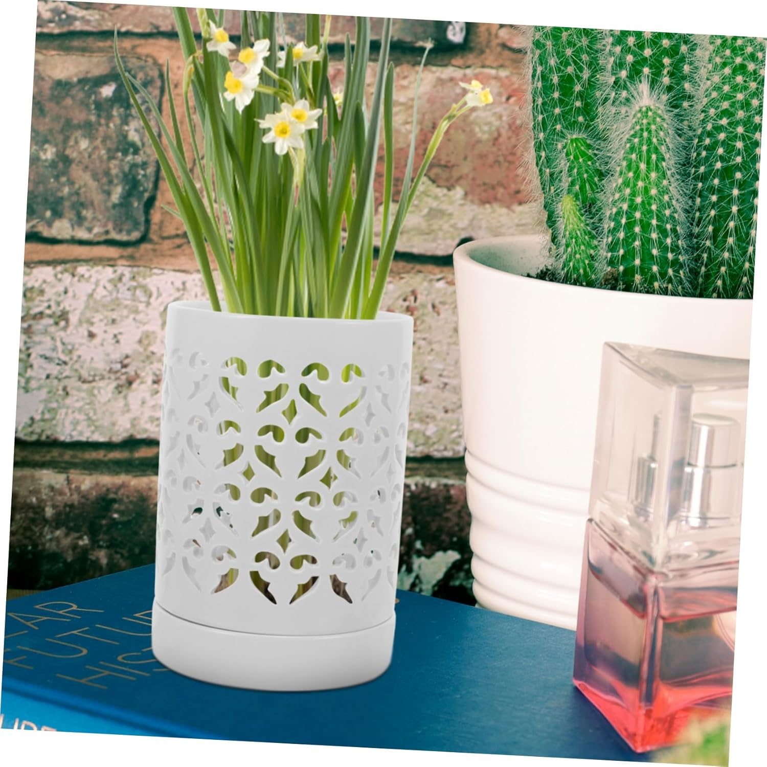 Ceramic Orchid Pot Drainage Holes, Indoor and Outdoor Decorative Flower Planter, White Slotted Orchid Planter Suitable for Potted Plants and Garden Use - Green image number 7