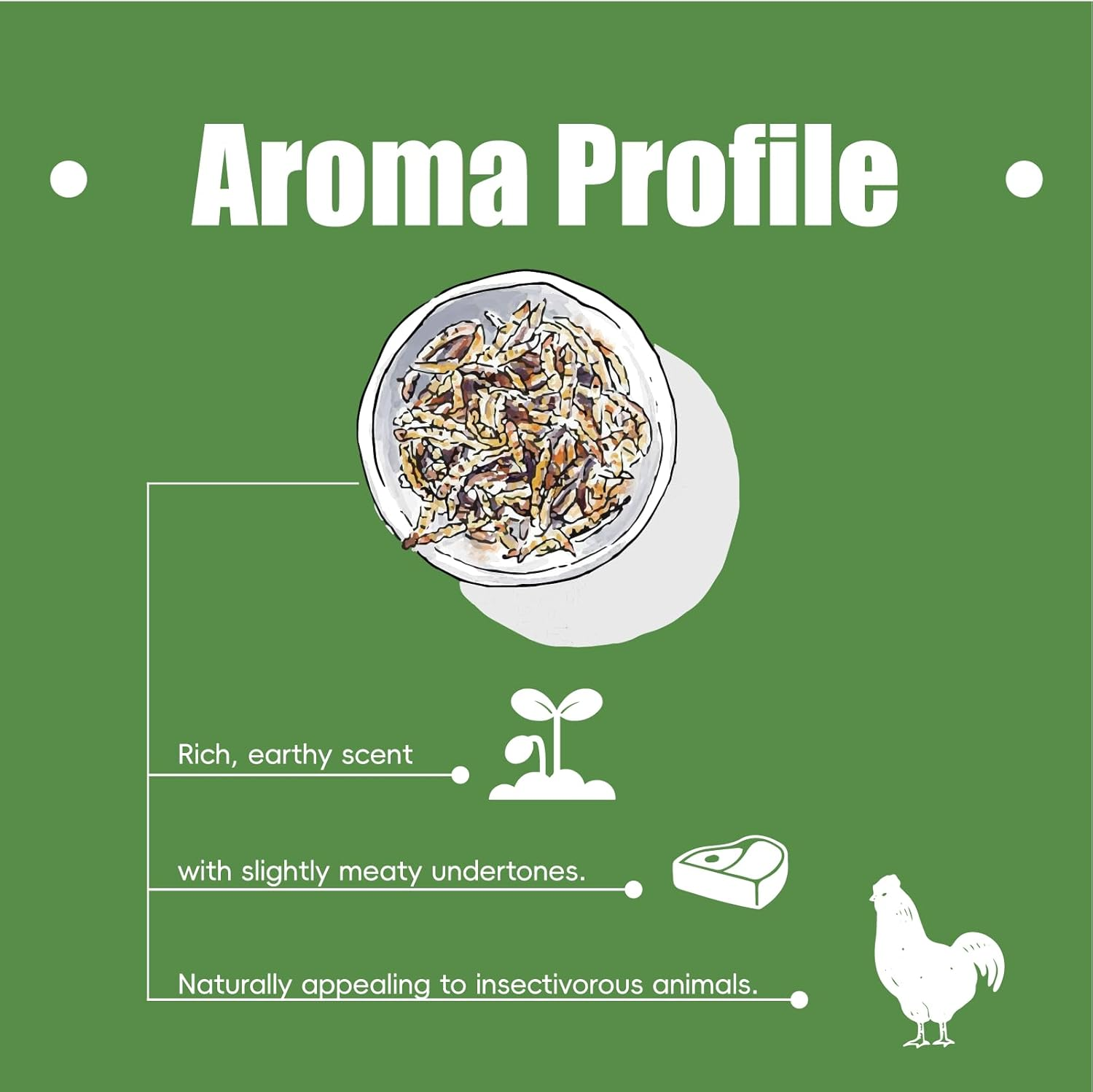 Beyondfeed&trade; 1Kg Dried Black Soldier Fly Larvae - Nutrient-Rich, Sustainable Feed for Chickens, Ducks, Birds, Reptiles, Fish, Hamster, Turtles and More (2.2Lbs/1Kg Package) image number 4