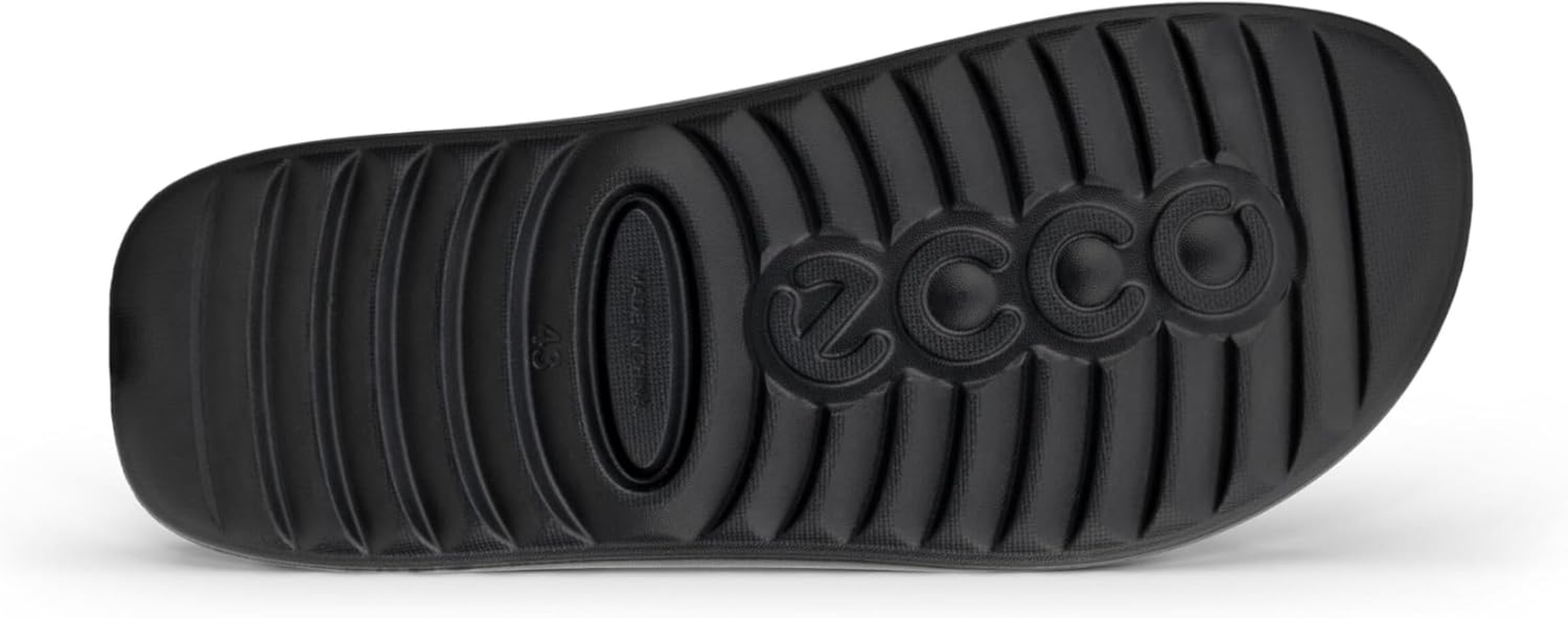 ECCO ECCO image number 5