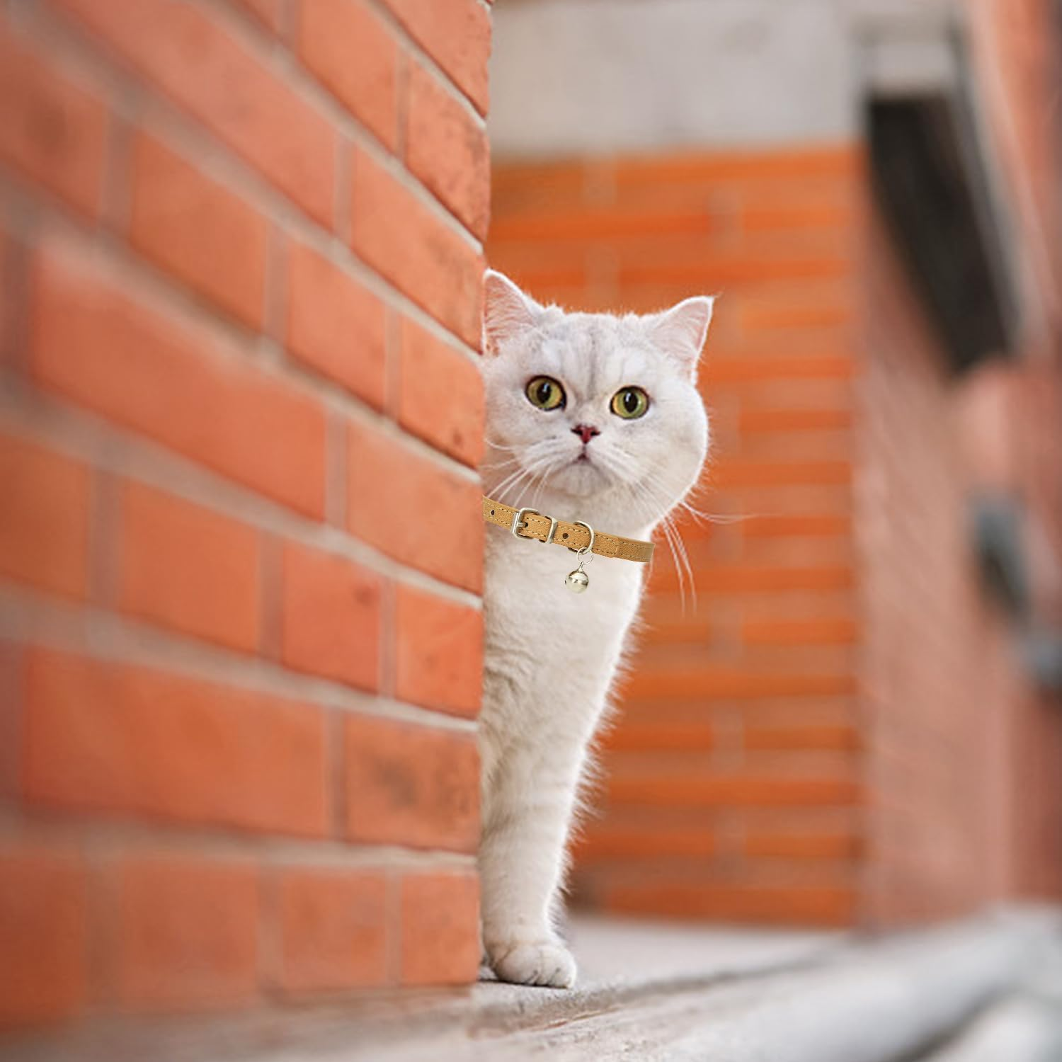 QIXNBL Pack of 4 Cat Collars, PU Material Collars, Metal Buckle with Bells, Adjustable Collars for Pets, Cute Pet Accessories