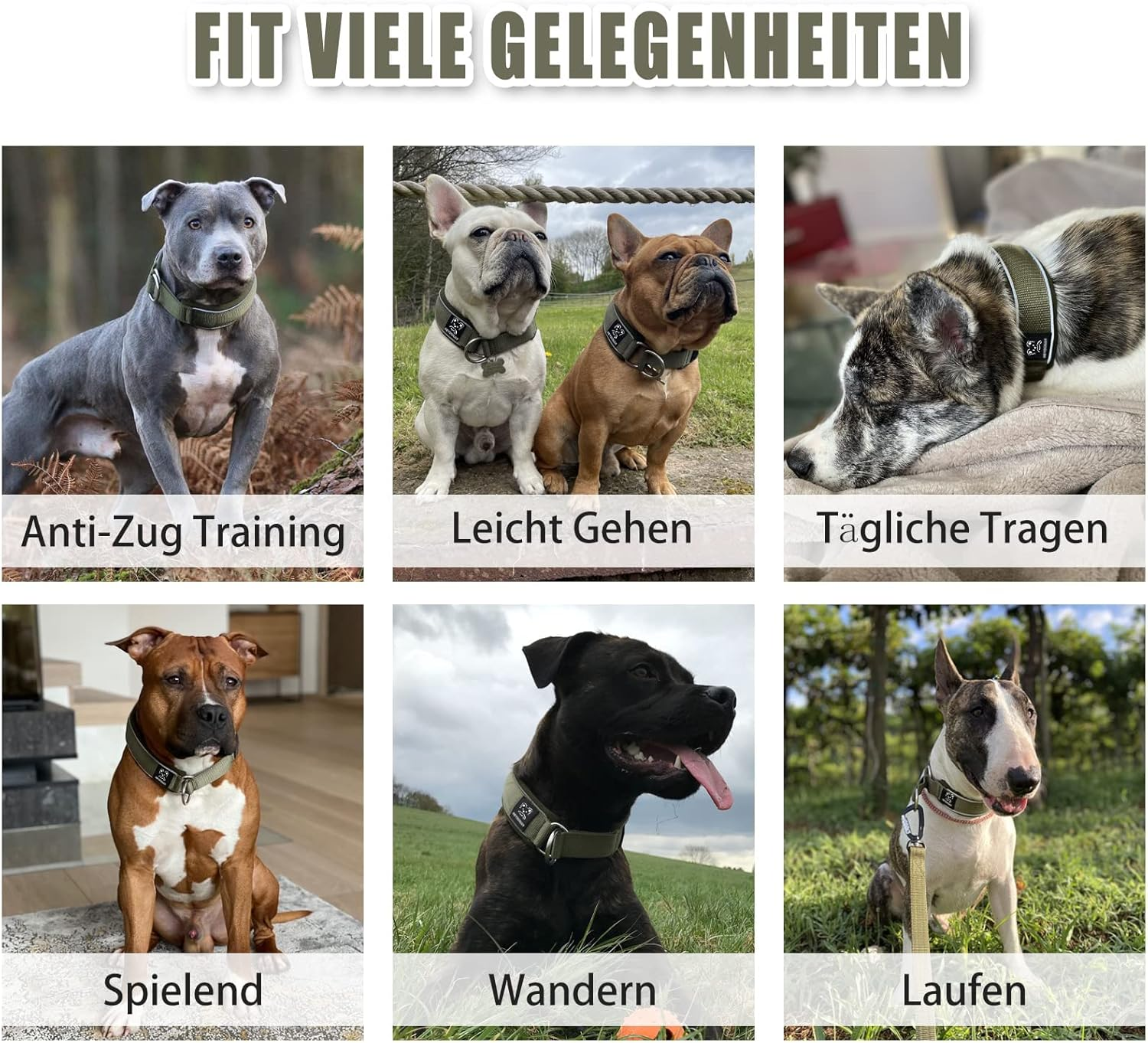 Soft Neoprene Padded Dog Collar (4 Cm Wide) Reflective Dog Collar with Robust Nylon & Pull Stop, Comfortable Pull Collar Dressage Collar for Small Medium Large Dogs Walking L, Army Green image number 2