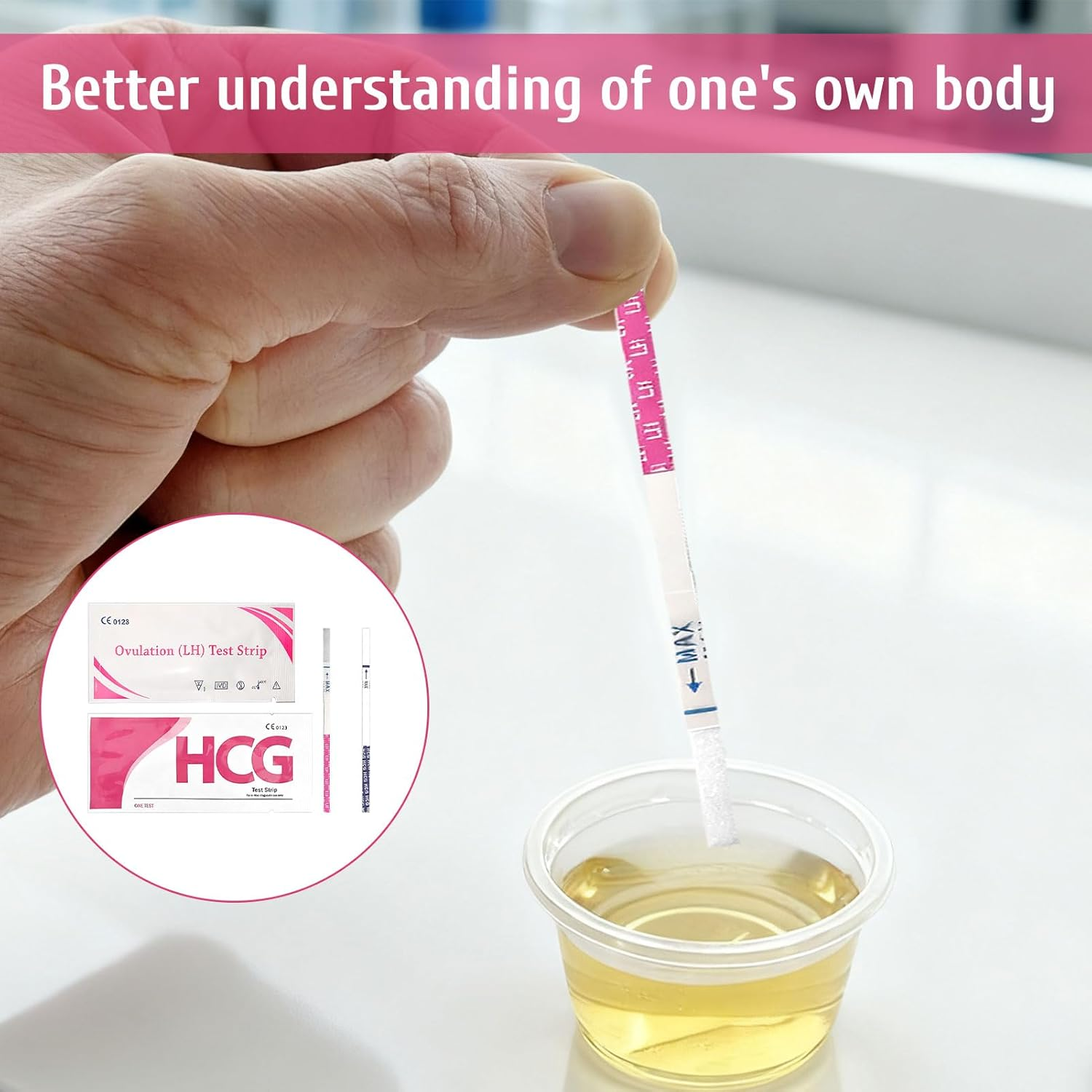 Pregnancy Test Strips, Ovulation Test Strips, Easy at Home Ovulation Strips, 40 LH + 10 HCG Fertility Tests, Ovulation and Pregnancy Test Strip, Early Detection Hygienic Home Testing Combo Kit image number 2