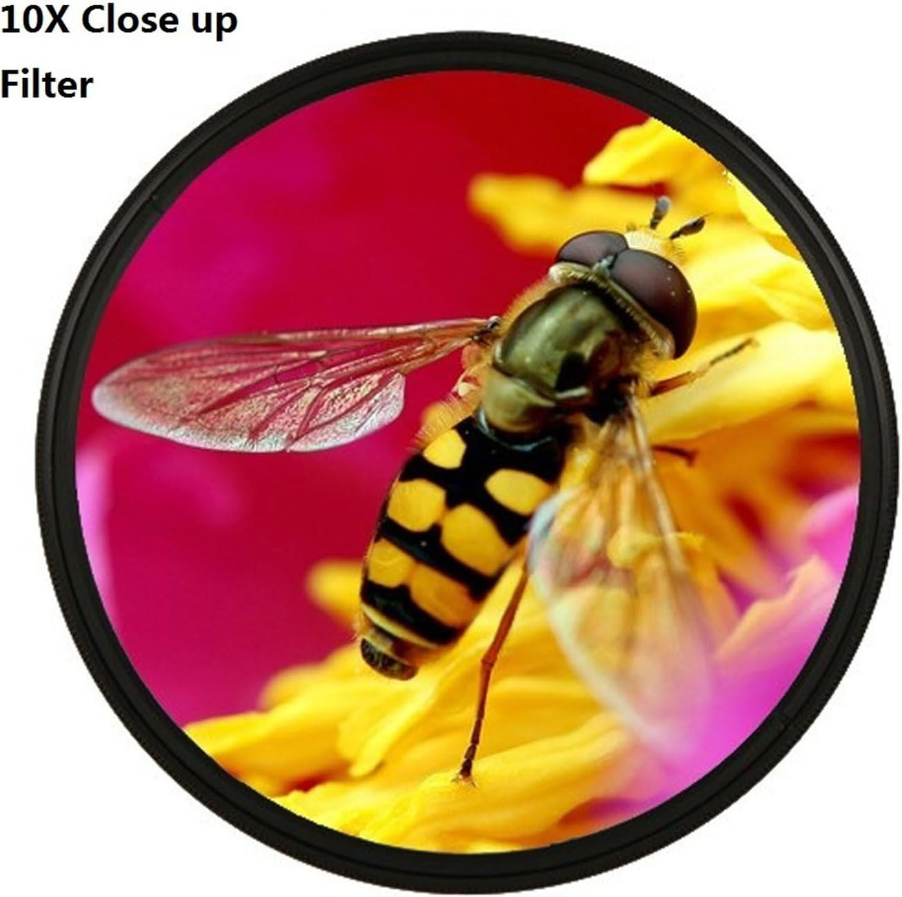 OVAQUIXI Close up Filter Kit Optical Glass +1 +2 +4 +10 Macro Lens Filter for Digital Camera Photography (82Mm)