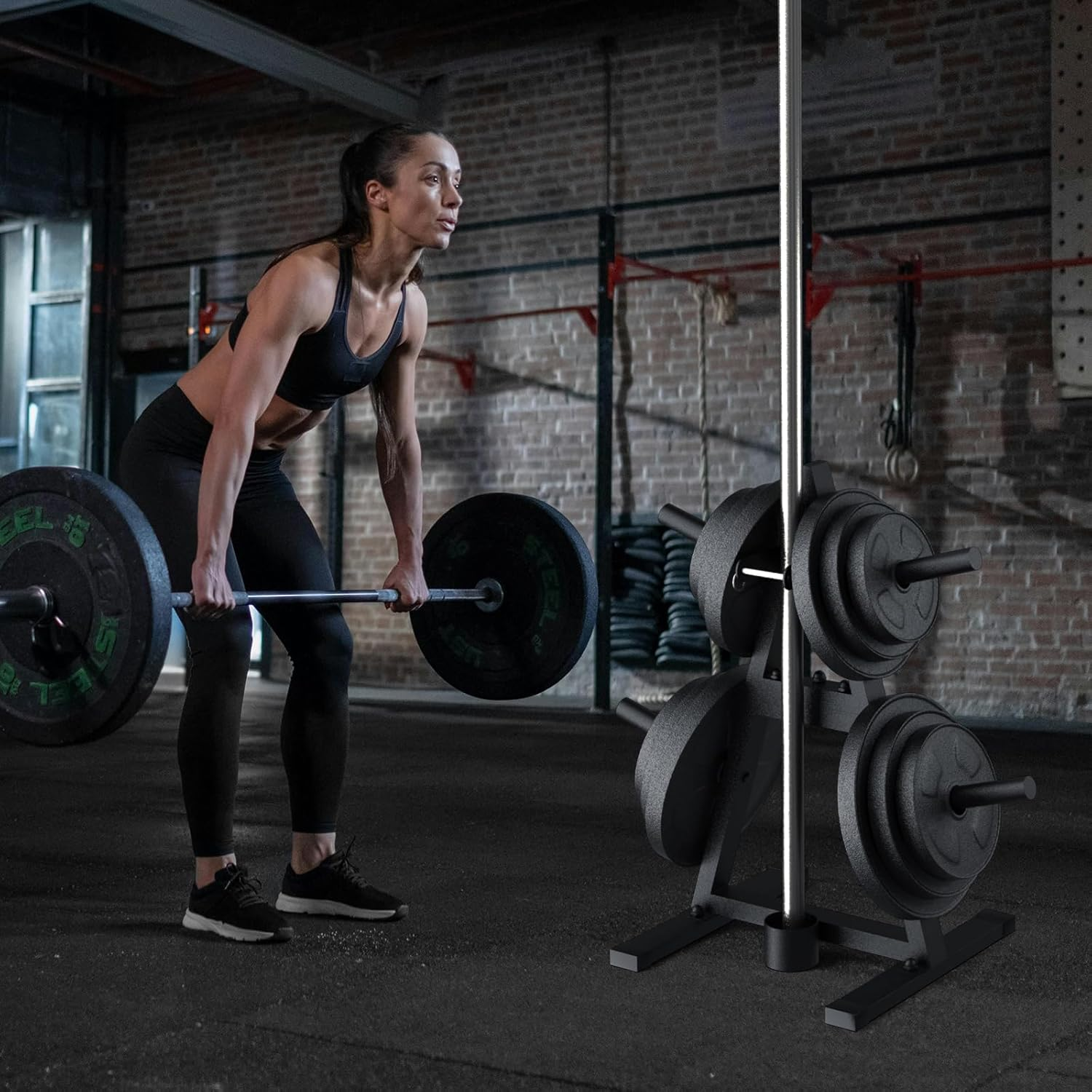 A-Frame Weight Plate Tree for 1" Olympic Plates - Holds 300 Lbs, Dumbbell Rack and Home Gym Storage Stand - Organize Your Workout Area ! image number 2