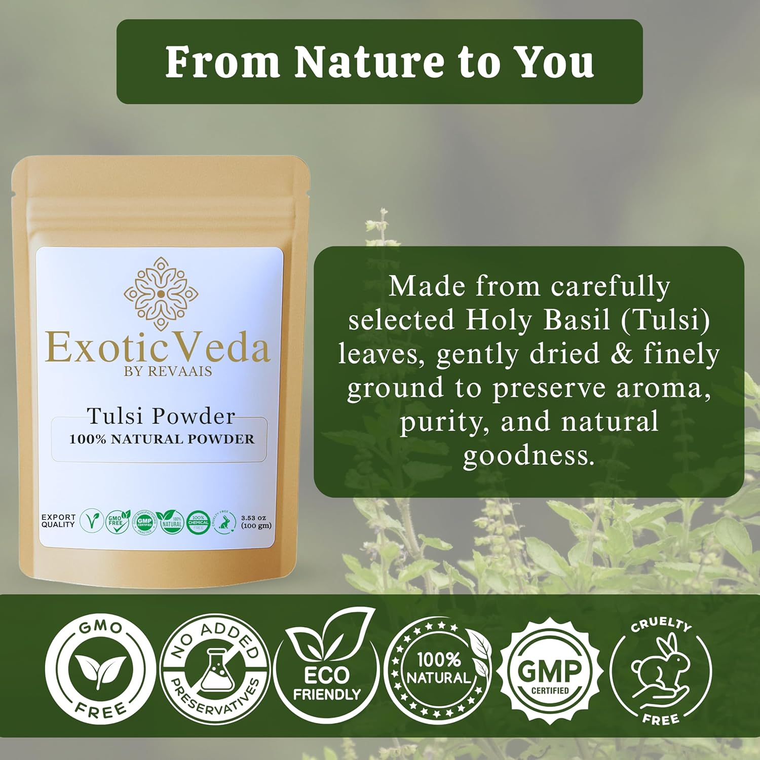Exotic Veda Tulsi Powder | 100% Pure & Natural No Additives, No Preservatives | 100G Pack image number 3