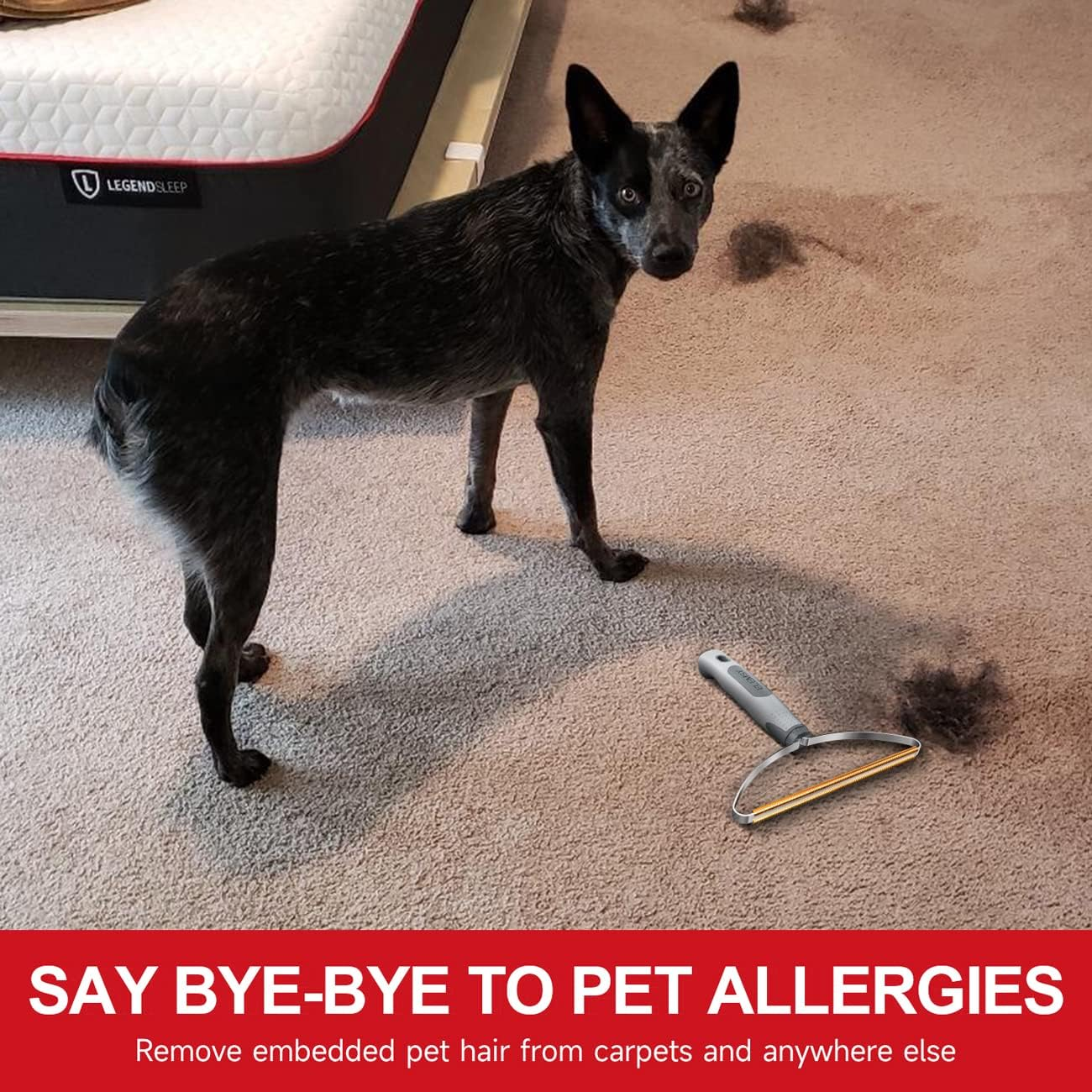 Pet Hair Remover Pro, Dog Cat Hair Remover, Portable Lint Cleaner, Fur Removal Rake Tool, Carpet Scraper, Fuzz Rollers Hairball Shaver Brush for Carpet, Car Mat, Couch, Pet Bed, Furniture & Rug Gray image number 5